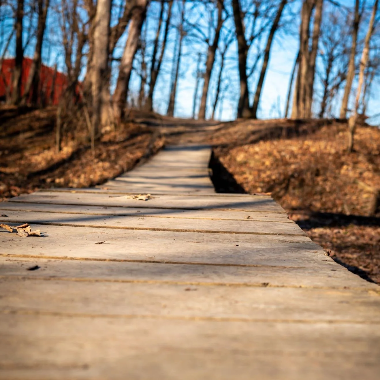 Went out for a great walk this weekend because all of our snow finally went away. Of course, I spoke too soon because it just snowed again!

#park #takeawalk #almostspring #clearday #path #forest #bluesky #woodpath #sunnyday #gettingwarmer #hiking #s