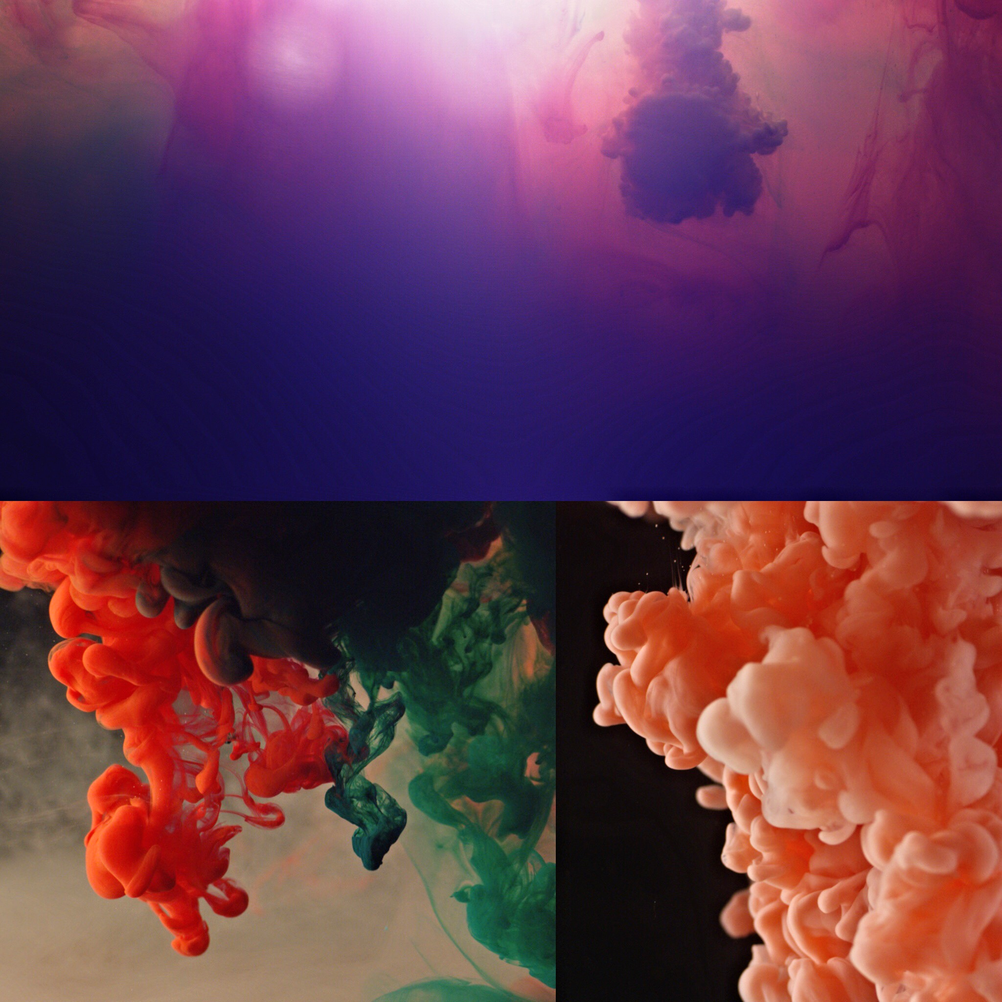 -- ungraded snapshots --