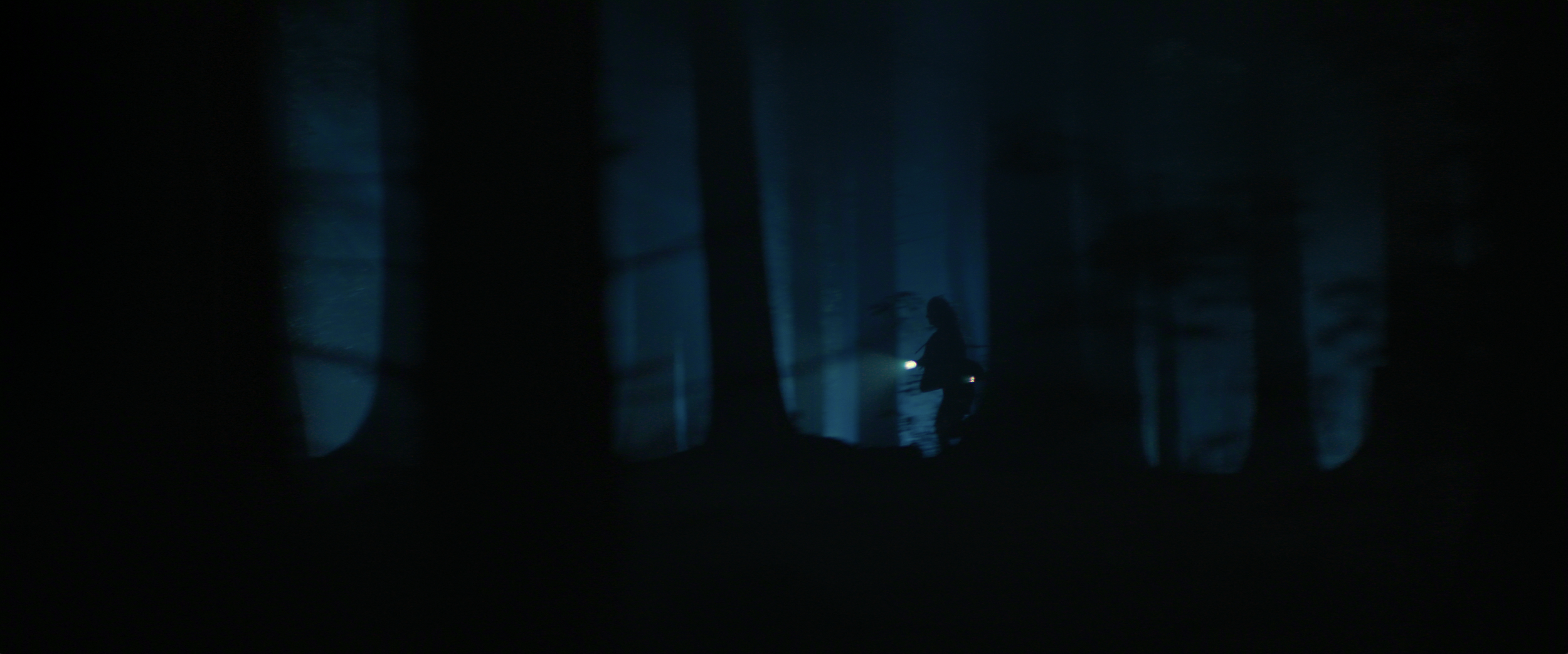 Screenshot 2026-02-16 at 9.05.04 am.png