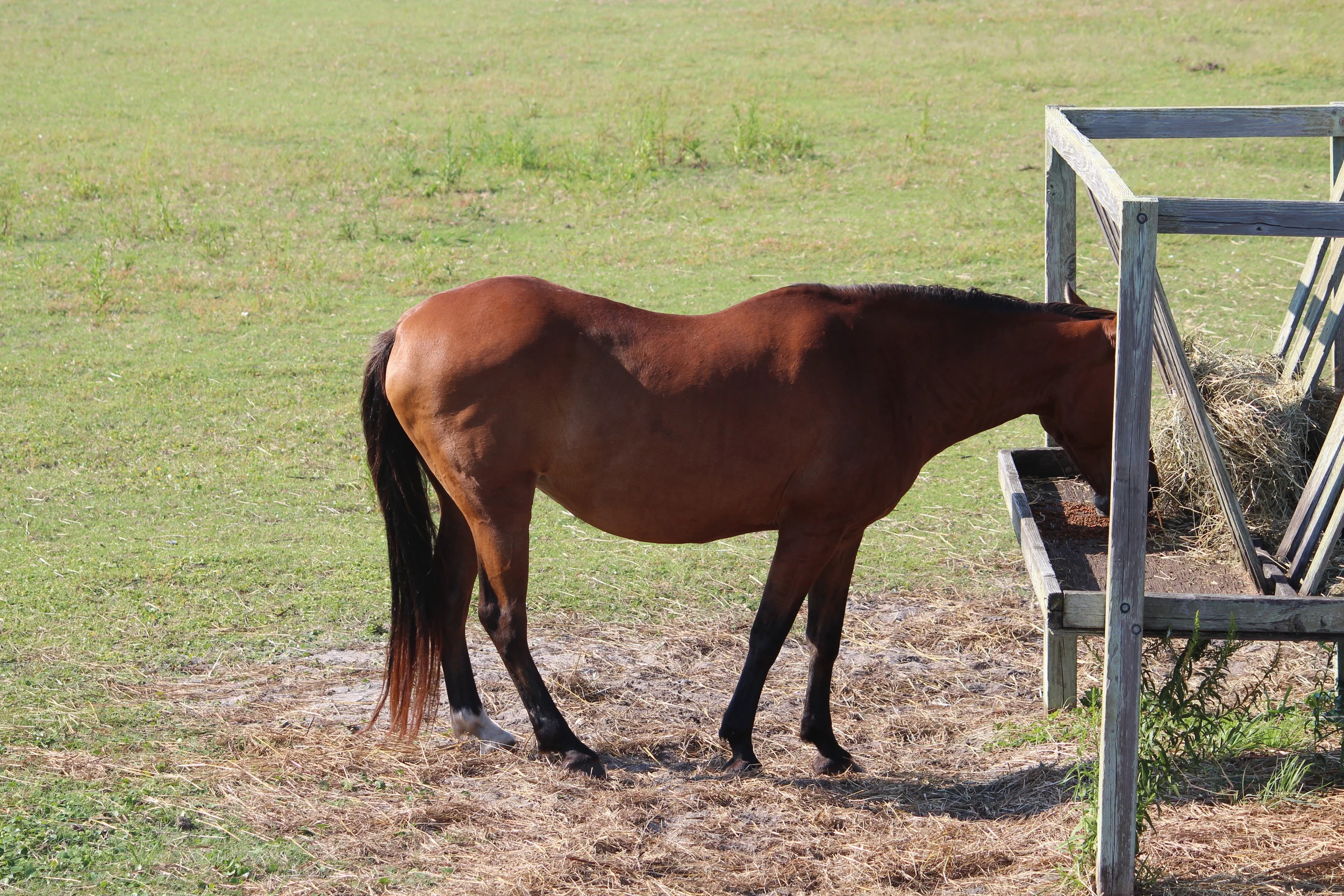 hi. my name is bethany. it's been 13 minutes since the last time i was a jerk