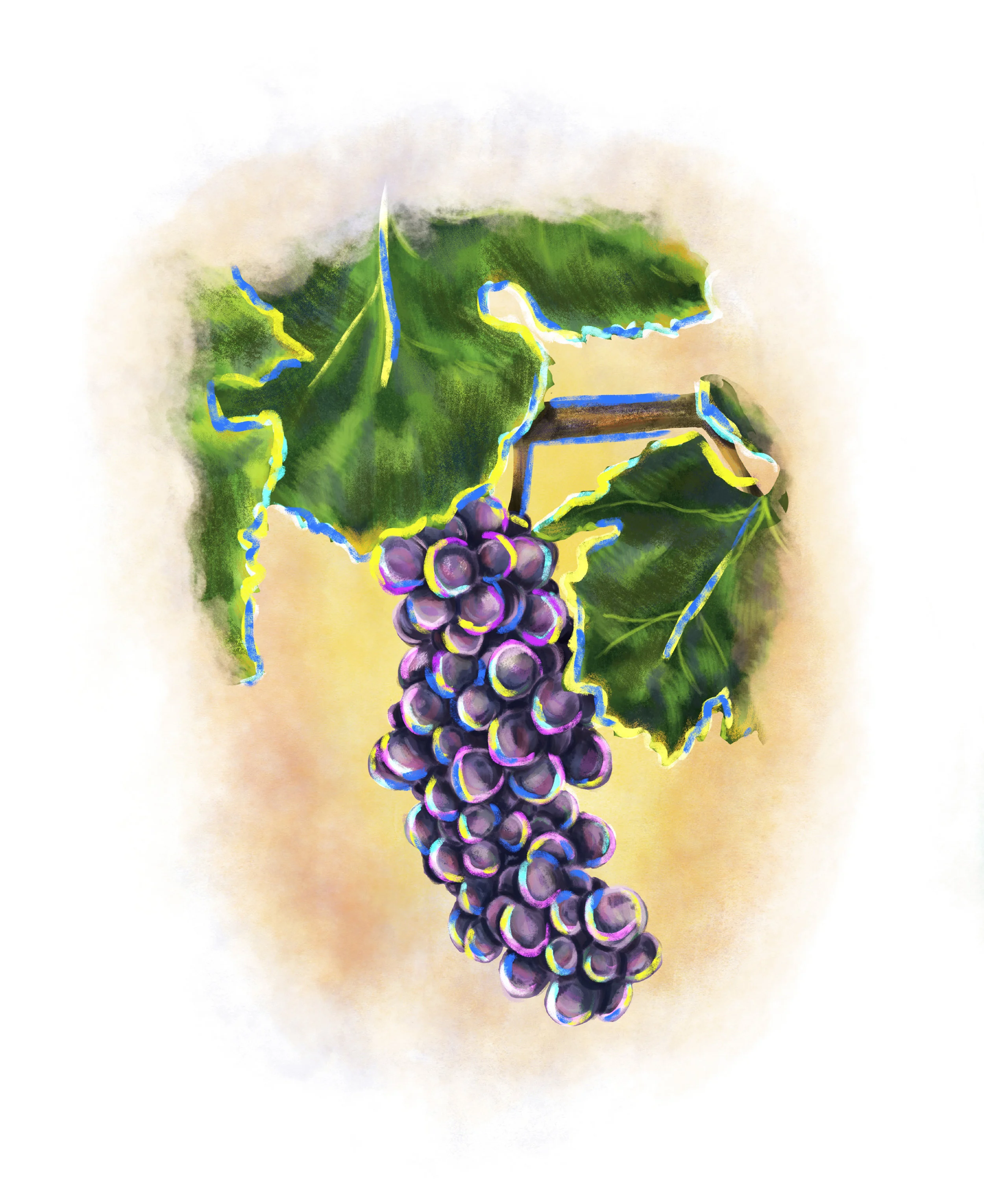grapes.jpg