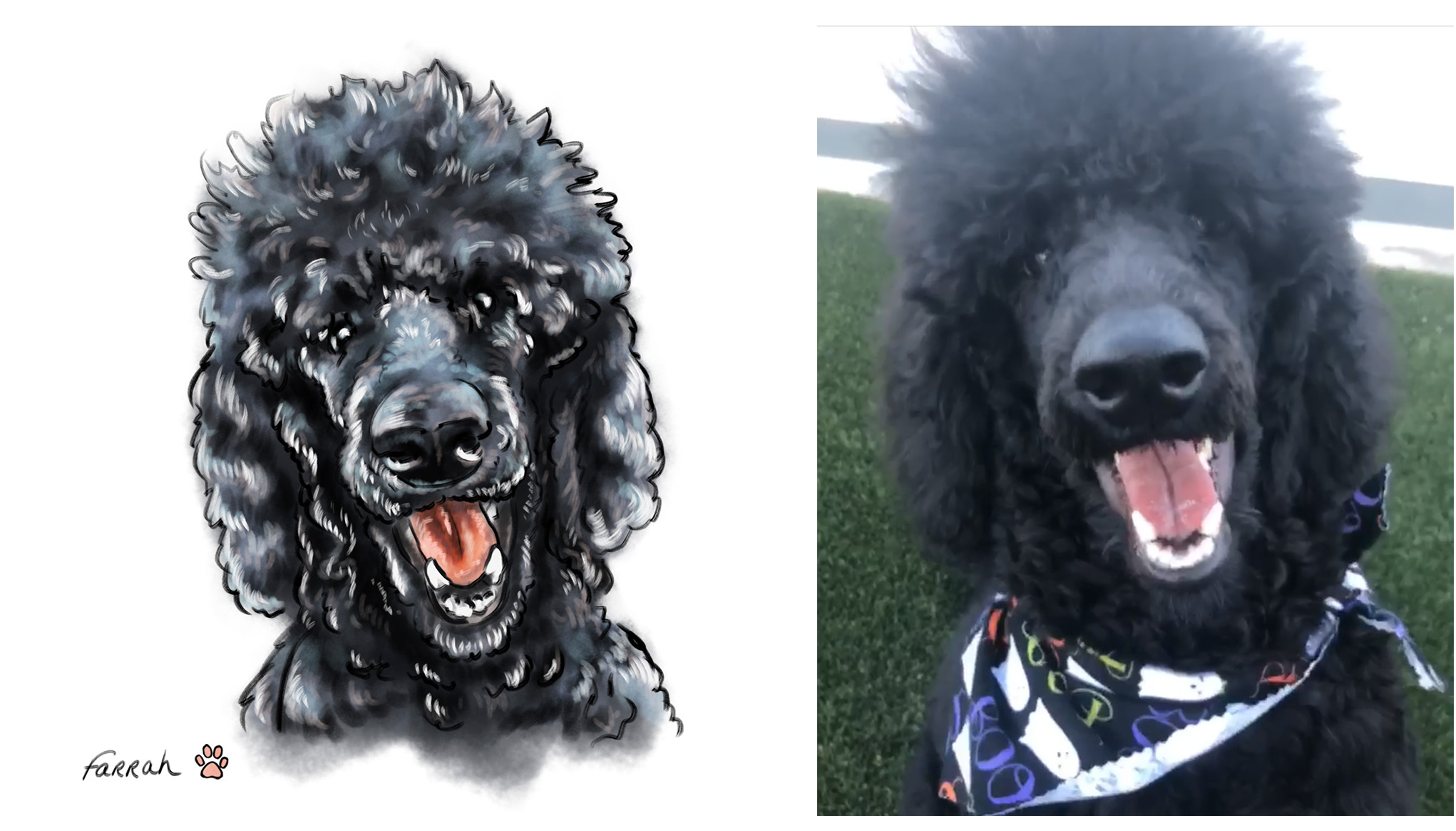 pet portrait - farrah.jpg