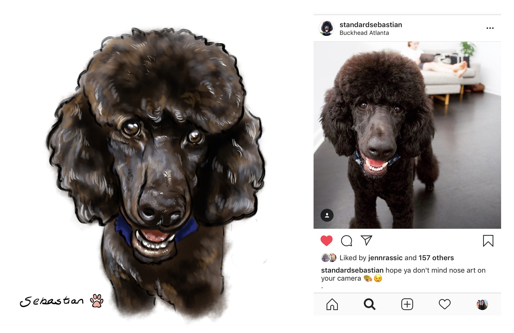 pet portrait - sebastian.jpg