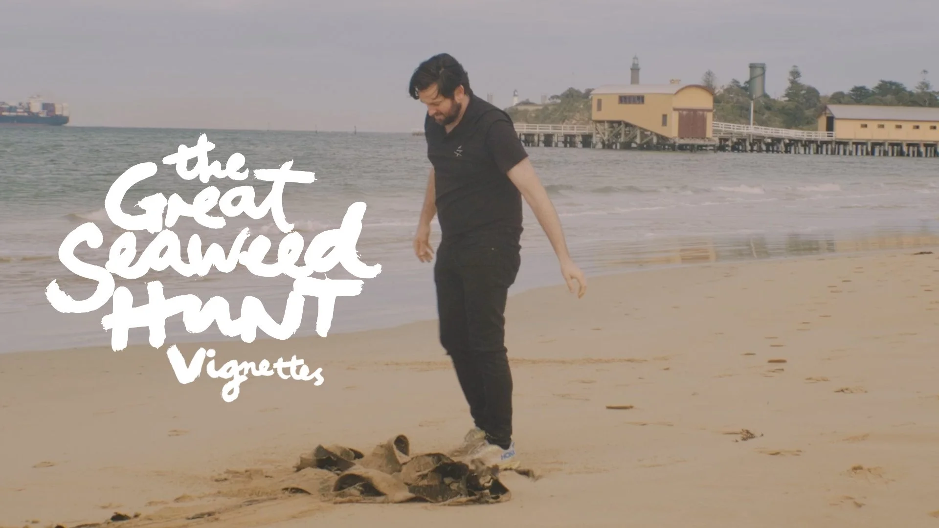 'The Great Seaweed Hunt' Vignette 3 - Out To Sea Series