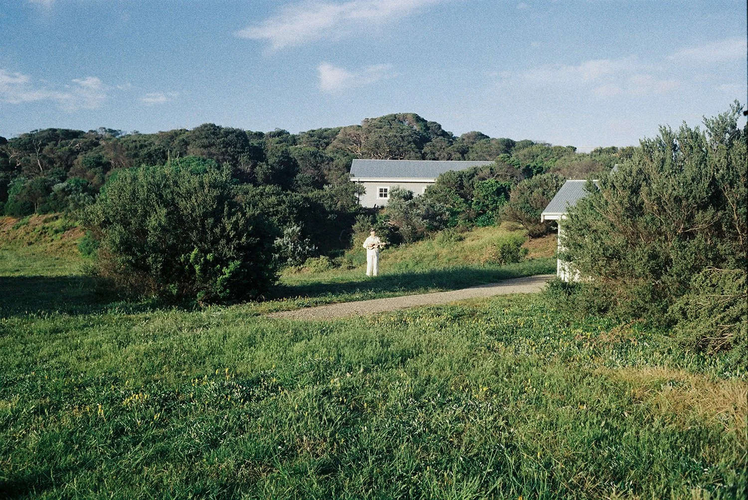 Mark Lang 7 1500px.jpg