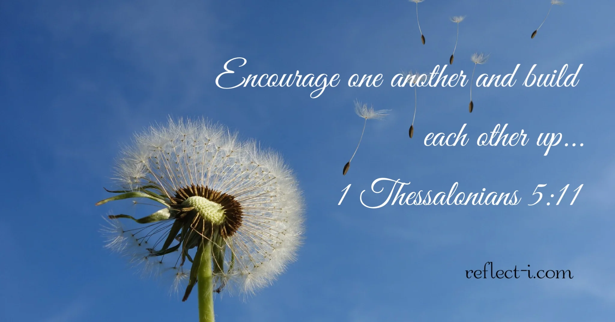 encourage one another.jpg