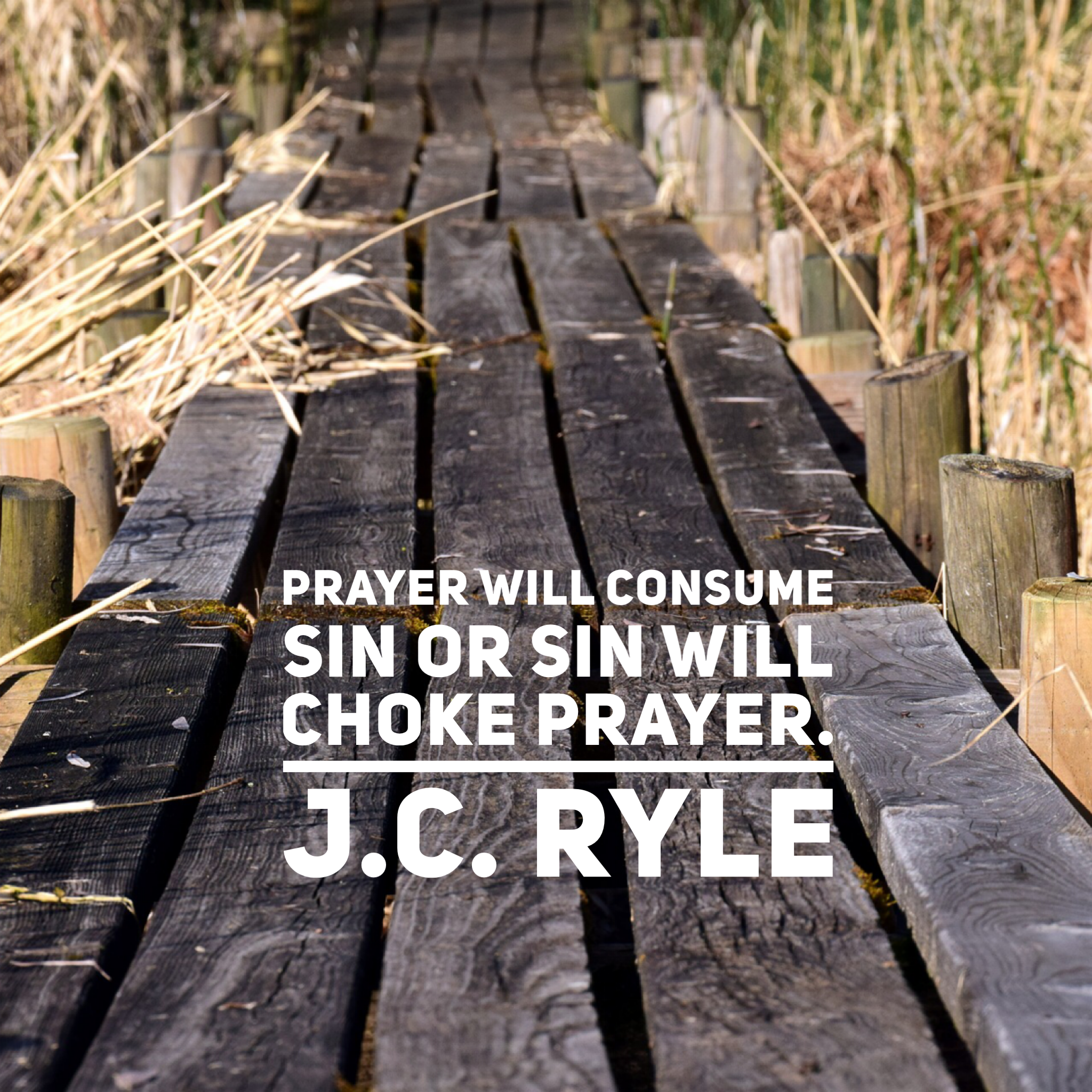 prayer quote.png