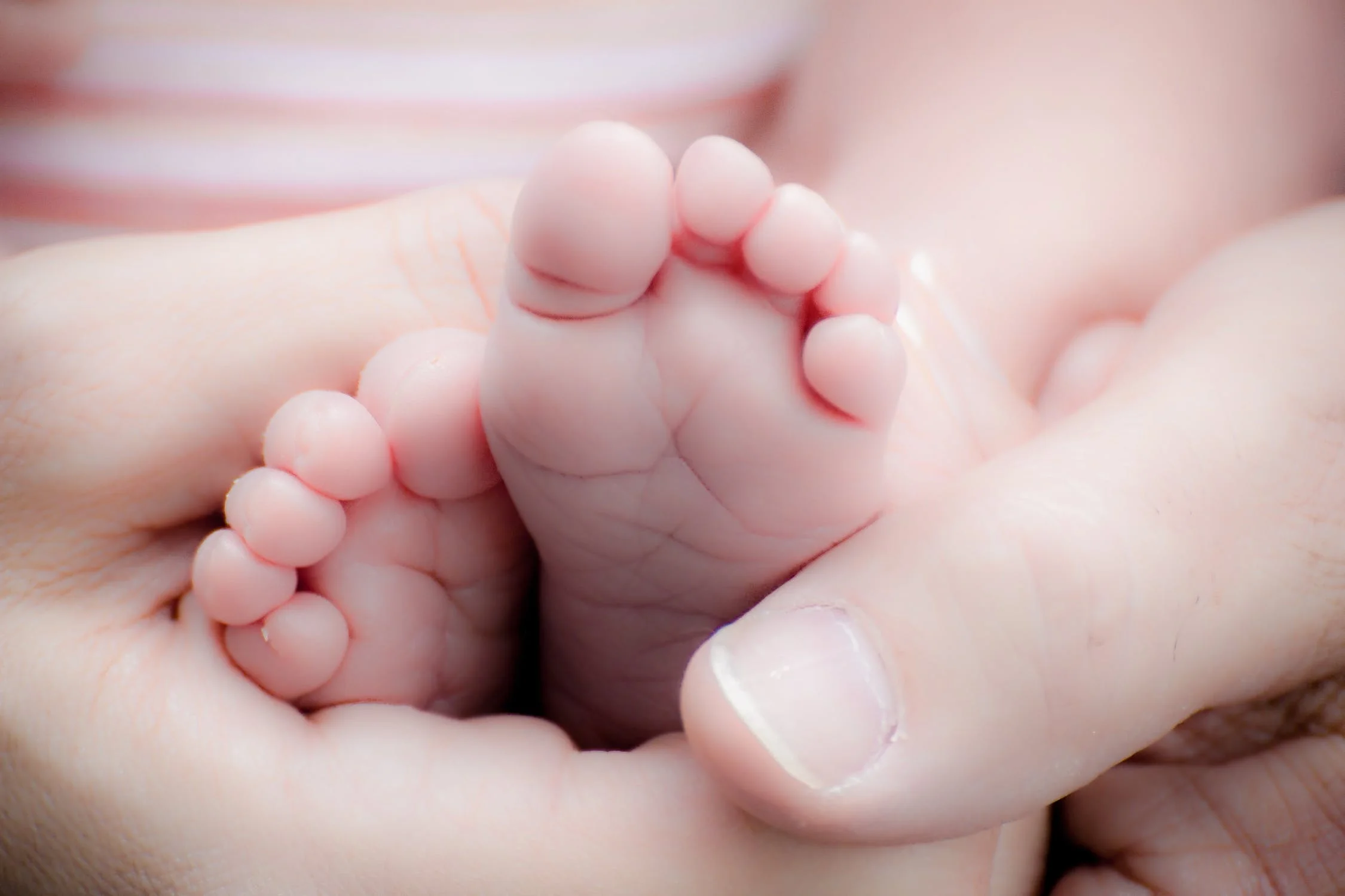 baby feets.jpeg