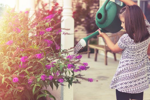 watering plants.jpeg