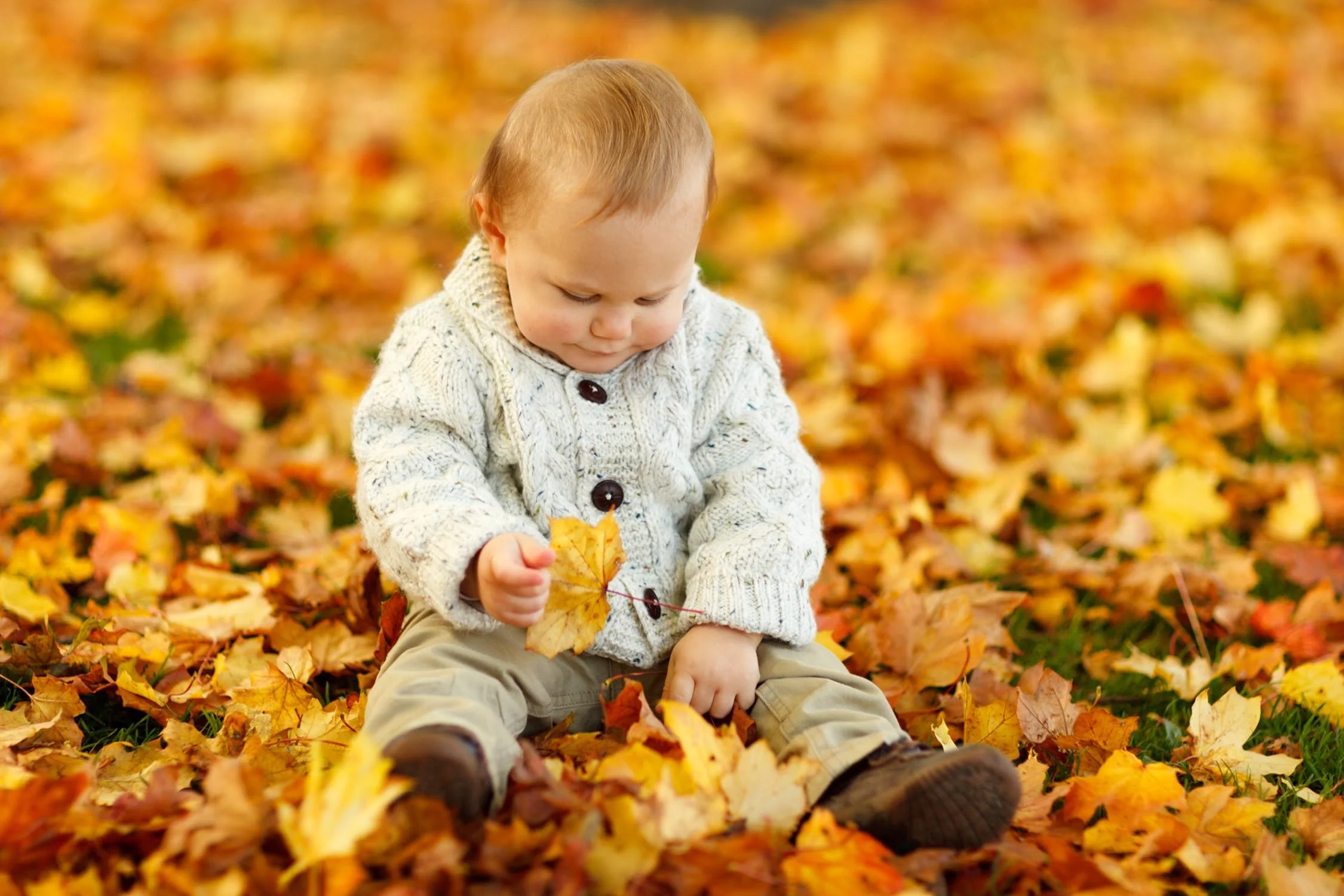 aautumn baby.jpeg