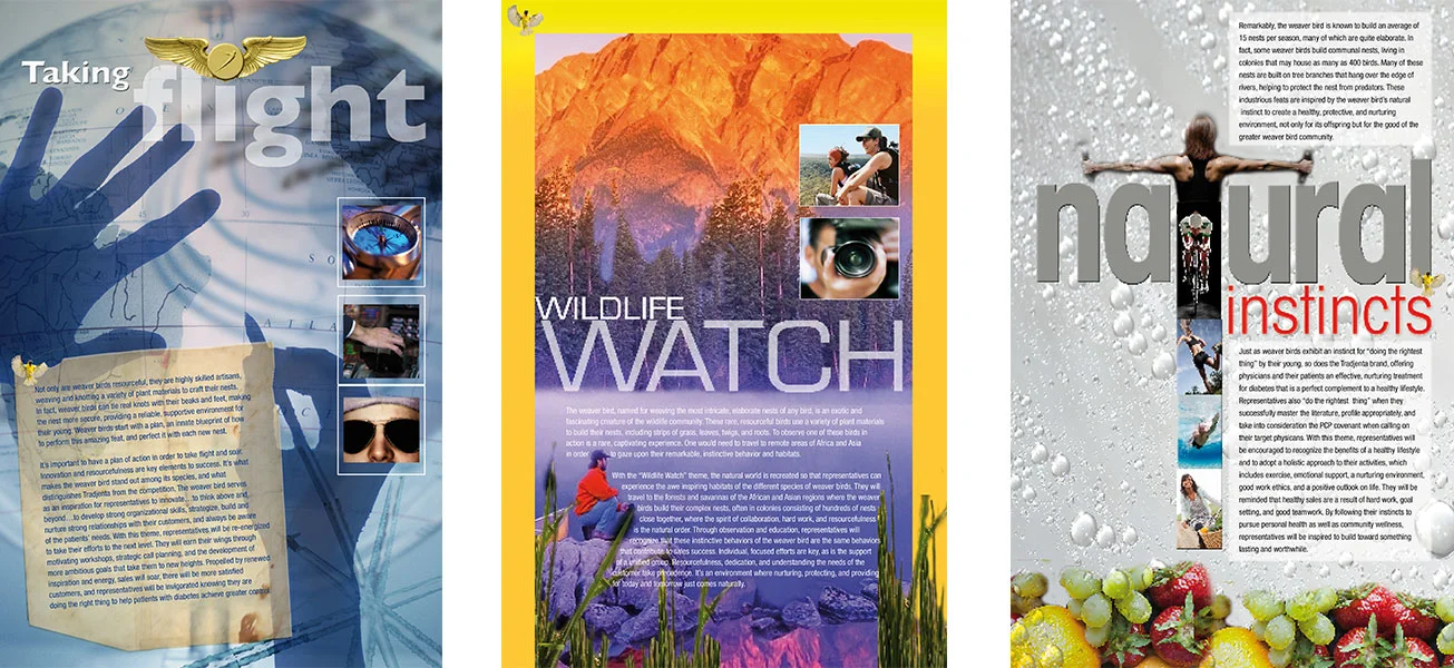 Client presentation mood boards for convention themes