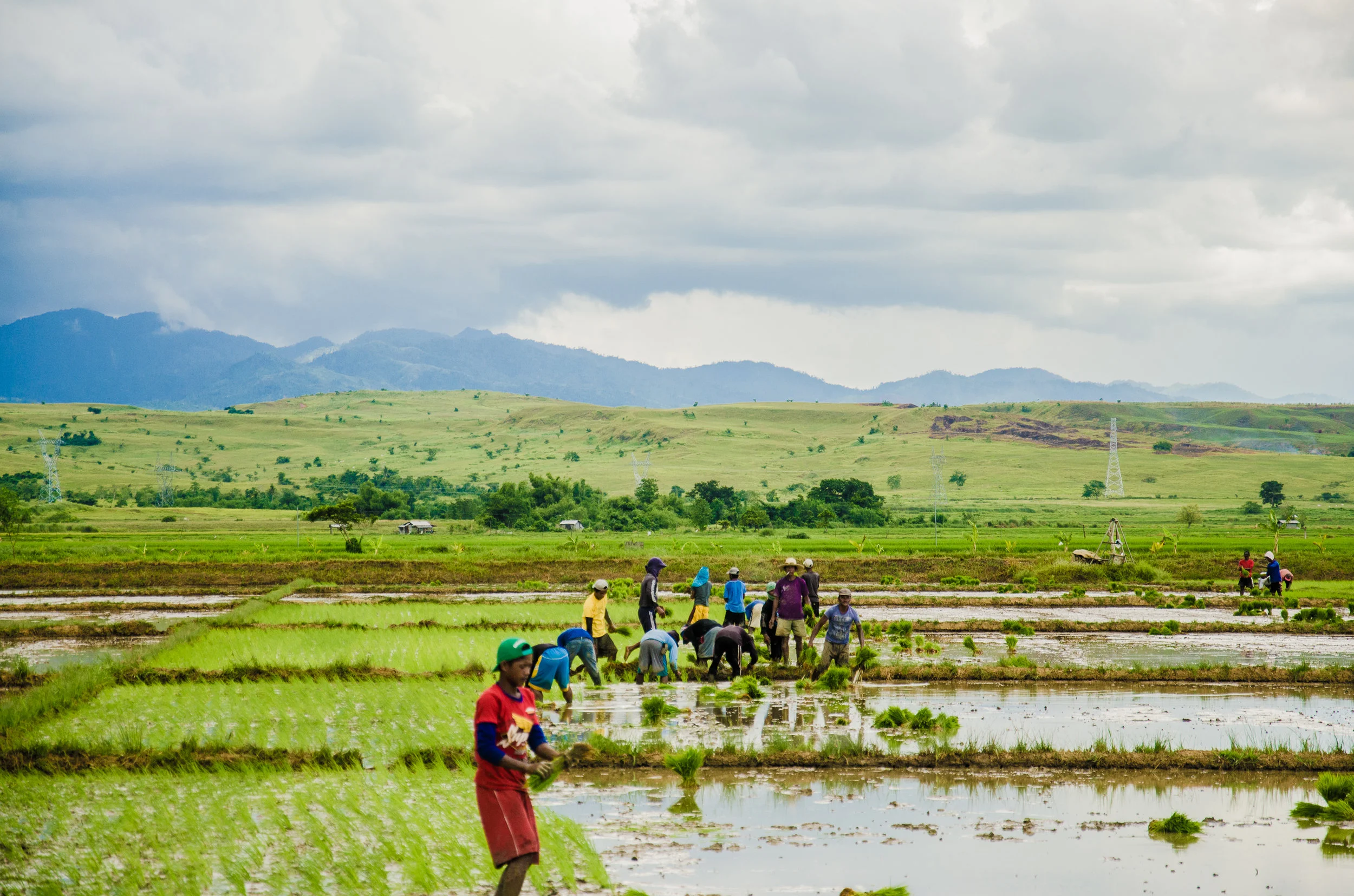 Planting Rice Is Never Fun, Alicia, Isabela