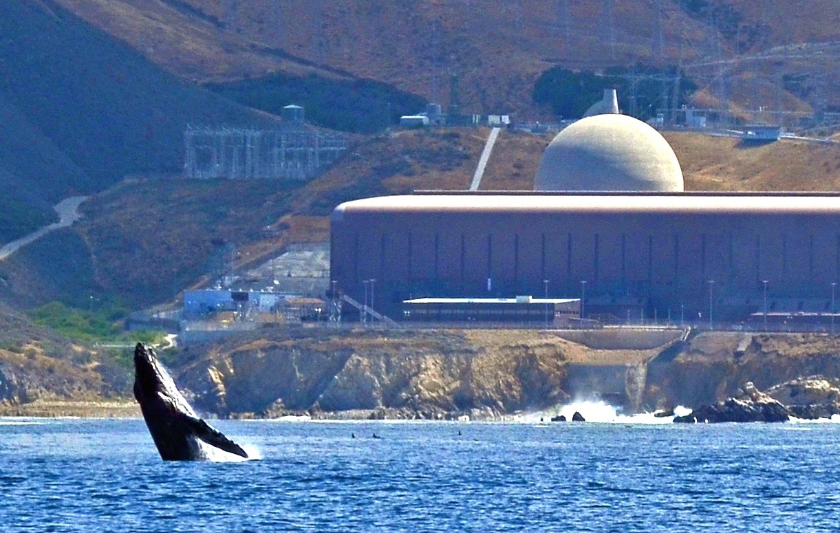 "Given the serious harm to the environment, the economy and ratepayer interests that would flow from Diablo’s closure," write the scientists and environmentalists , "we are deeply troubled by the lack of democratic process surrounding the Joint Proposal. It was decided in secret negotiations between PG&E and unaccountable anti-nuclear groups, some with financial ties to the renewables sector. Sending this proposal to the CPUC, an institution that is struggling with its own crisis of credibility relating to improper relationships with regulated industries, would raise further doubts about the legitimacy of the proceedings."
