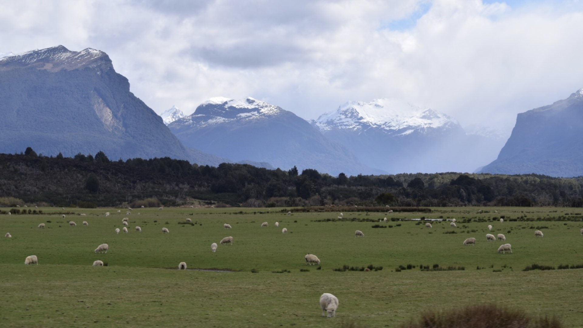 Why Energy Saves the Environment - RMLA - NZ - 2019.063.jpeg