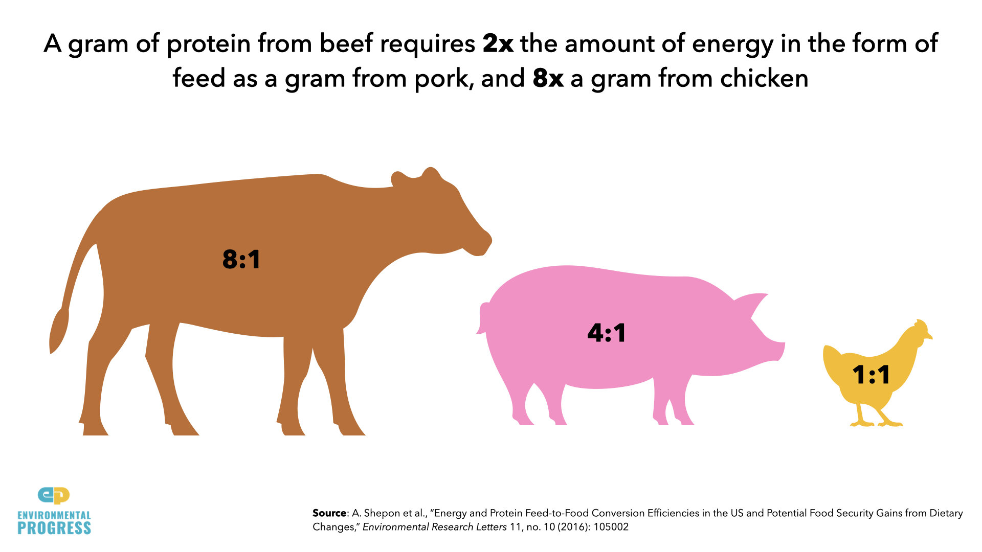 Meat Slides.007.jpeg