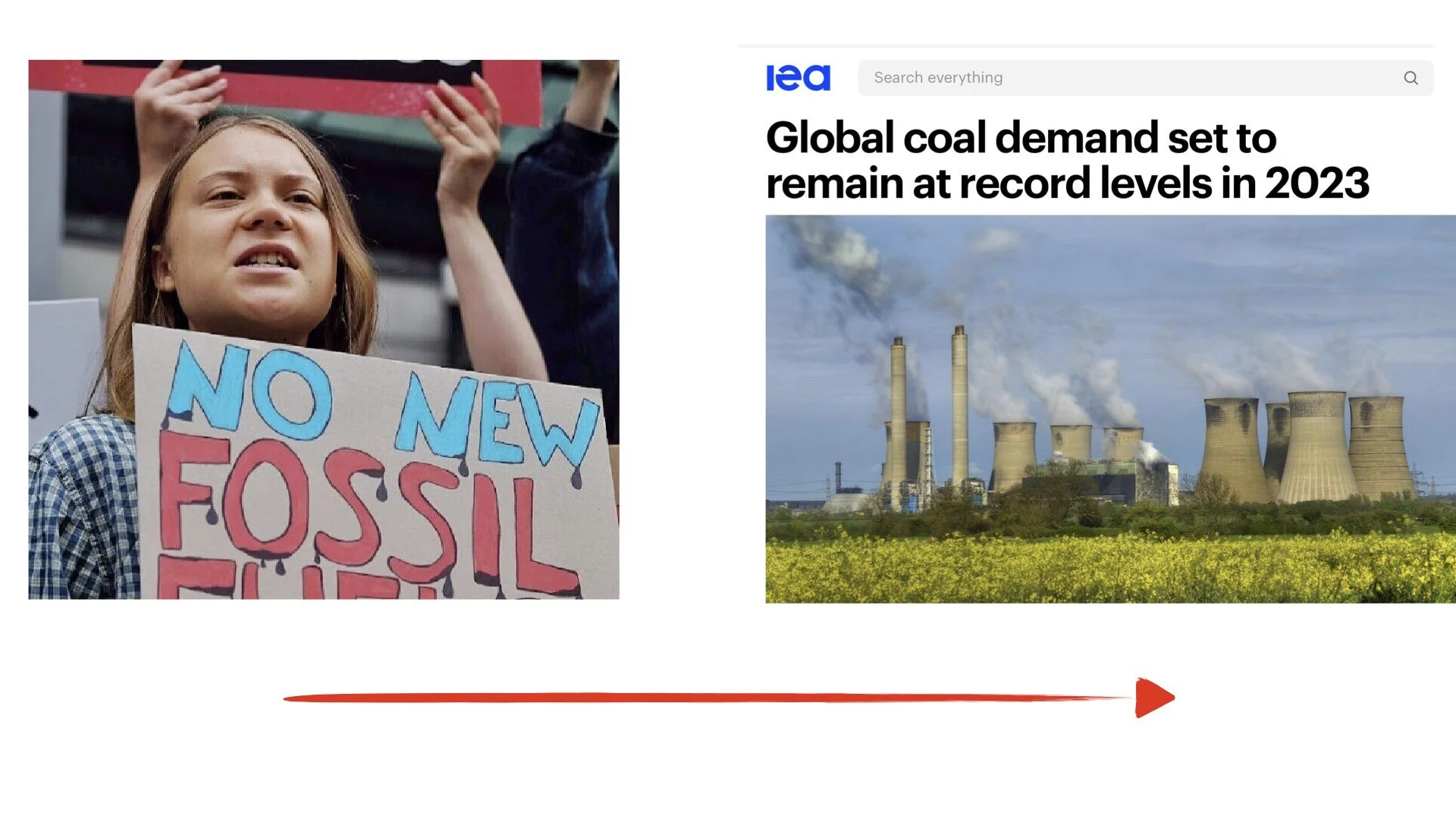 ARC - Shellenberger - 2023 New Story.041.jpeg