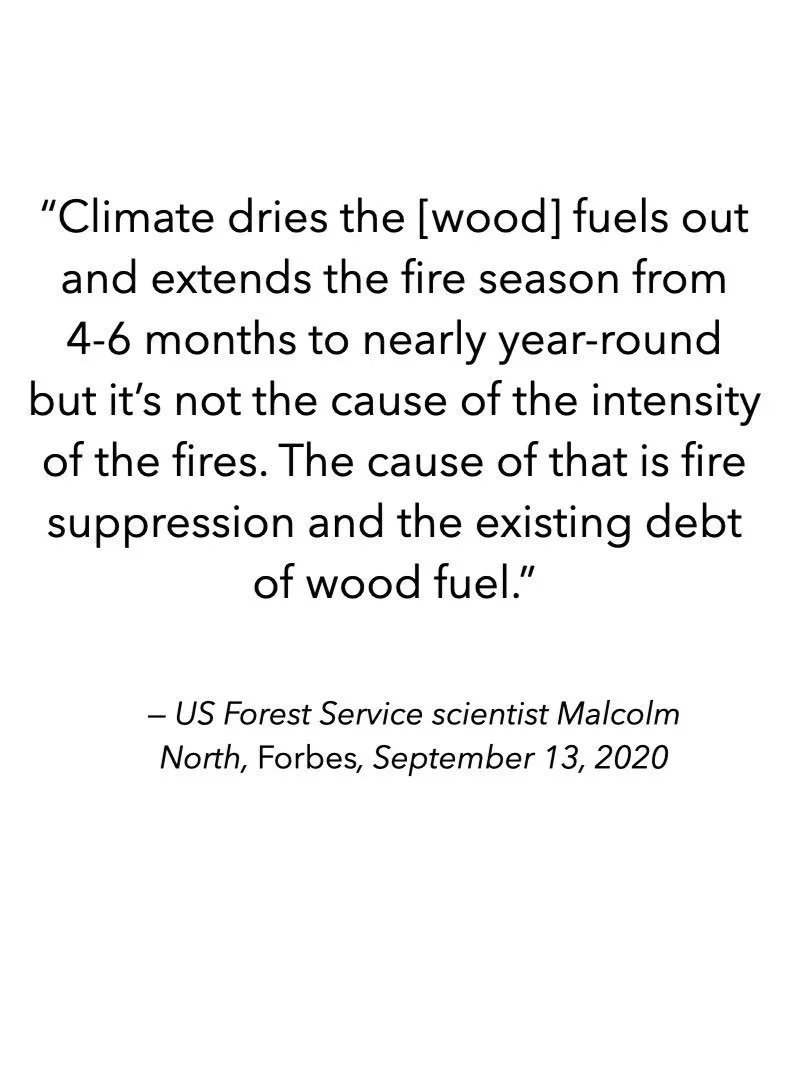 Case+Against+Environmental+Alarmism+August+2022.035.jpg