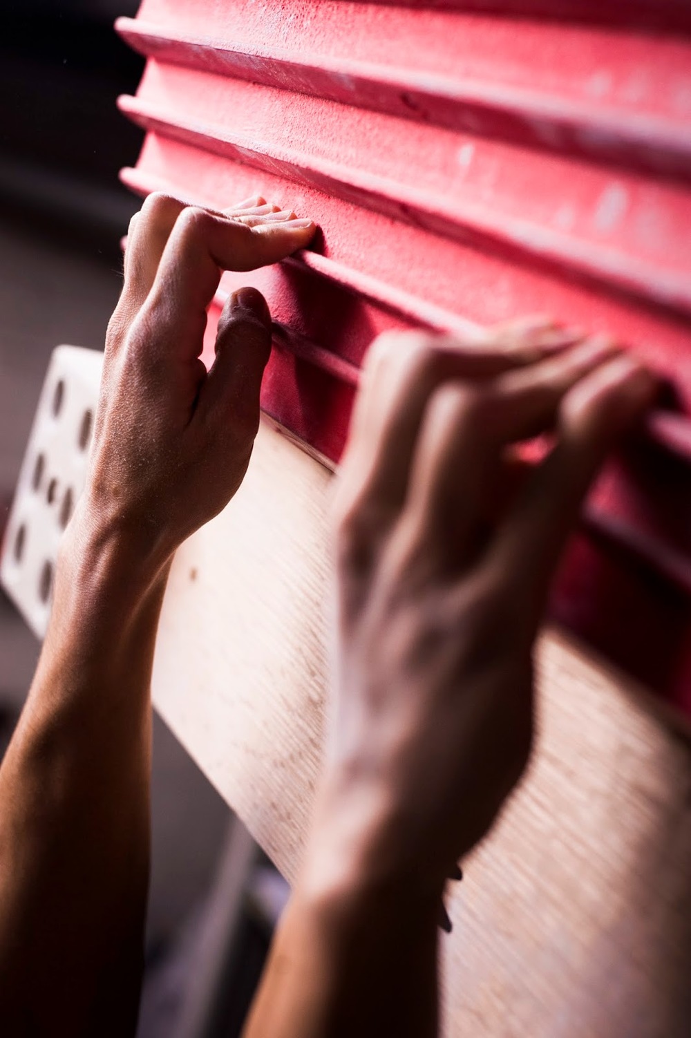 Review:  Transgression Hangboard by Eva Lopez