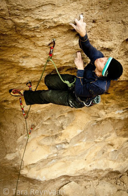The Specialist:  Hangboarding with Ryan Palo