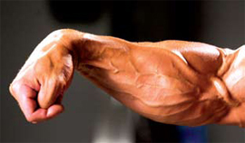 Hypertrophy for Climbing Part 2:  Forearms, Fingers, and The Amended Program.
