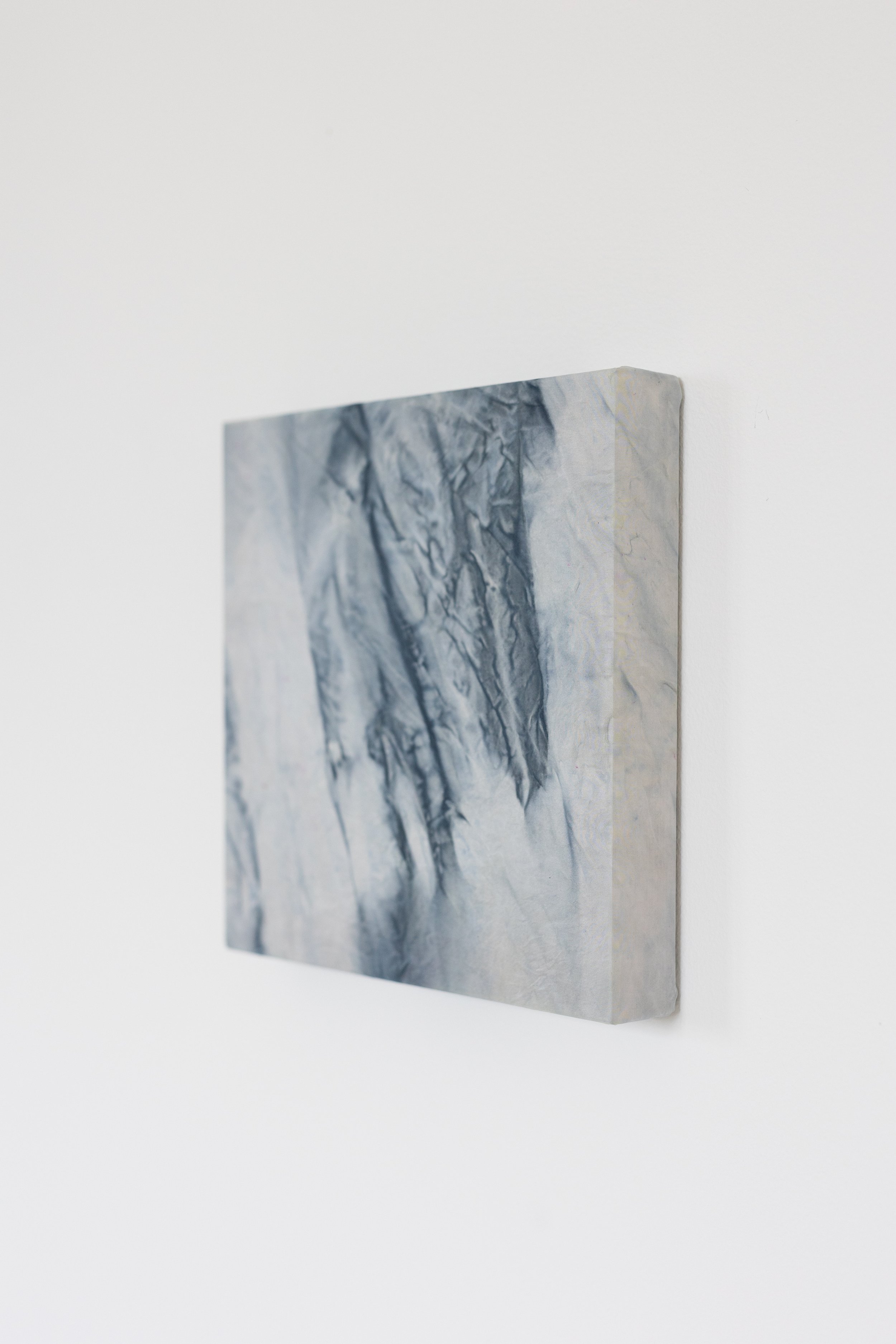 silk2025 (29 of 70).jpg