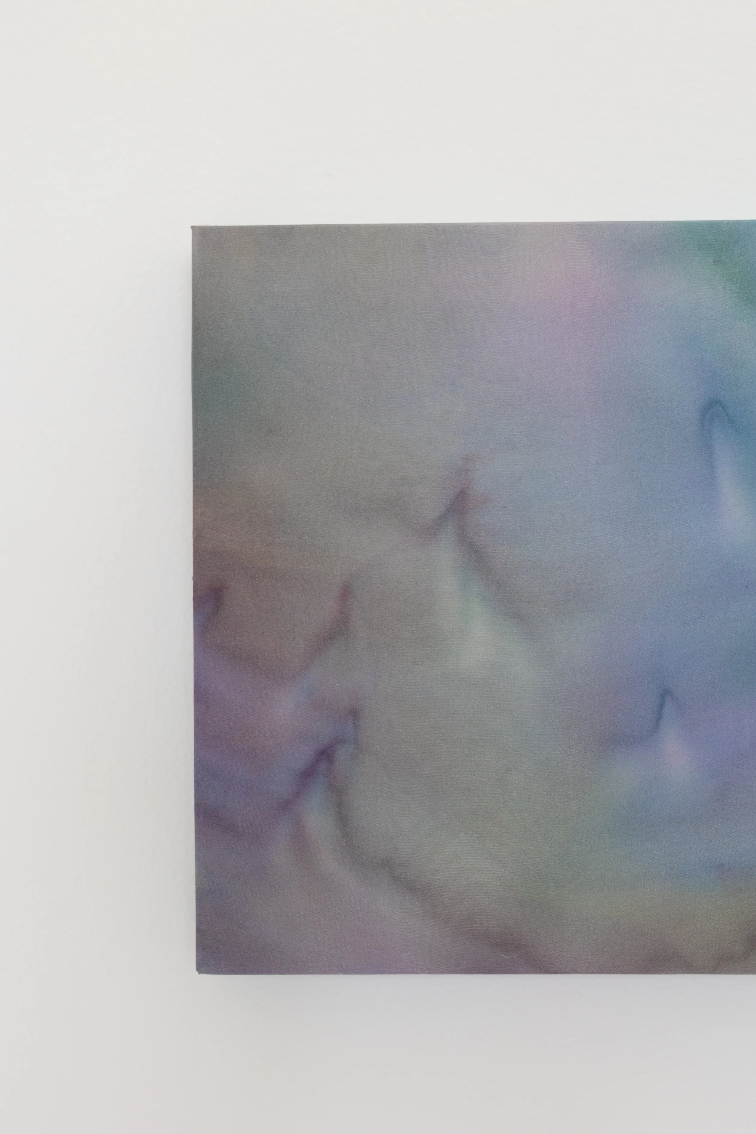 silk2025 (23 of 70).jpg