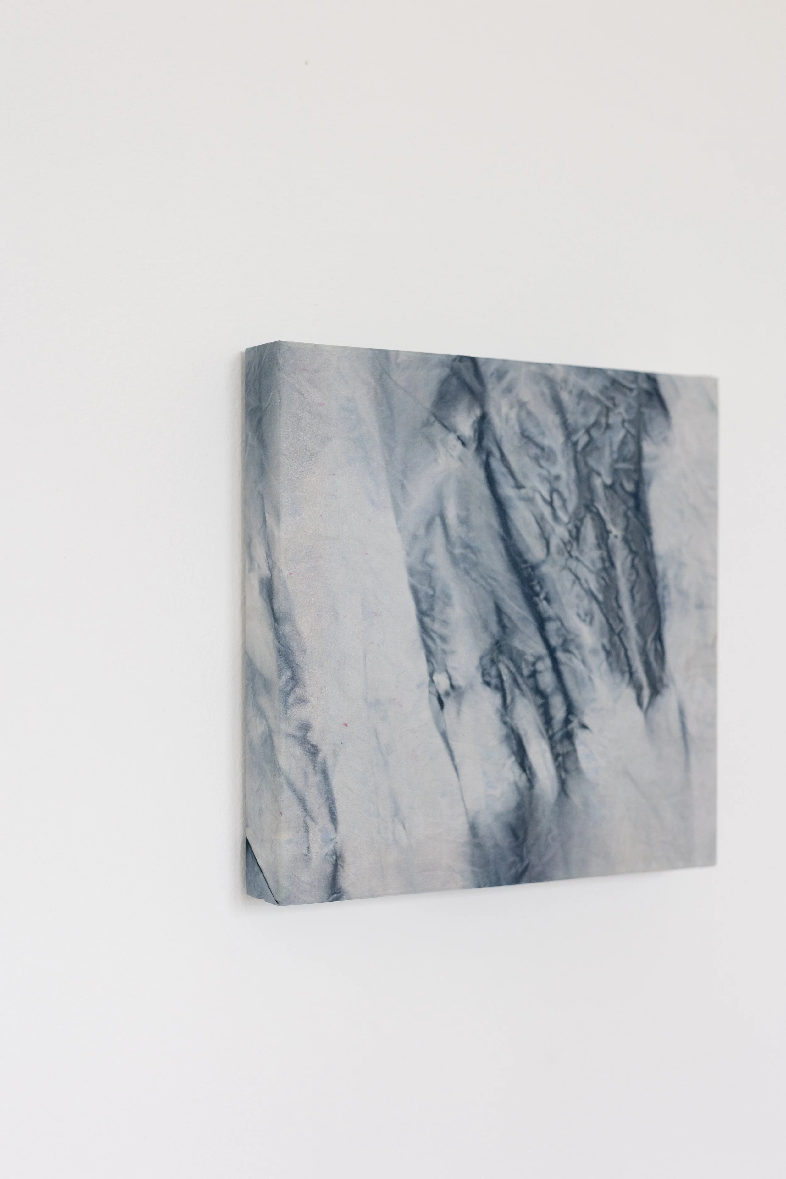 silk2025 (28 of 70).jpg