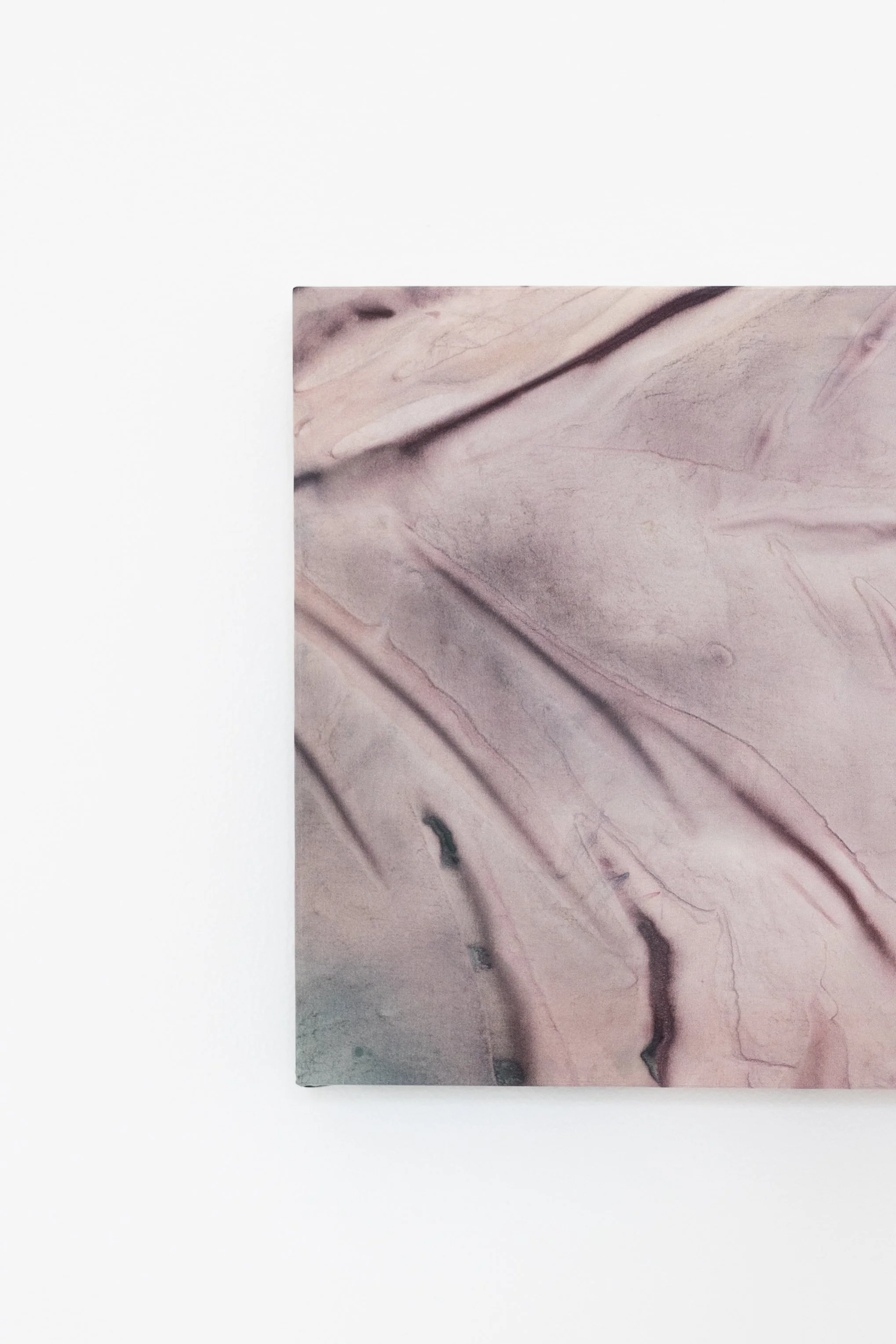 silk2025 (33 of 70).jpg