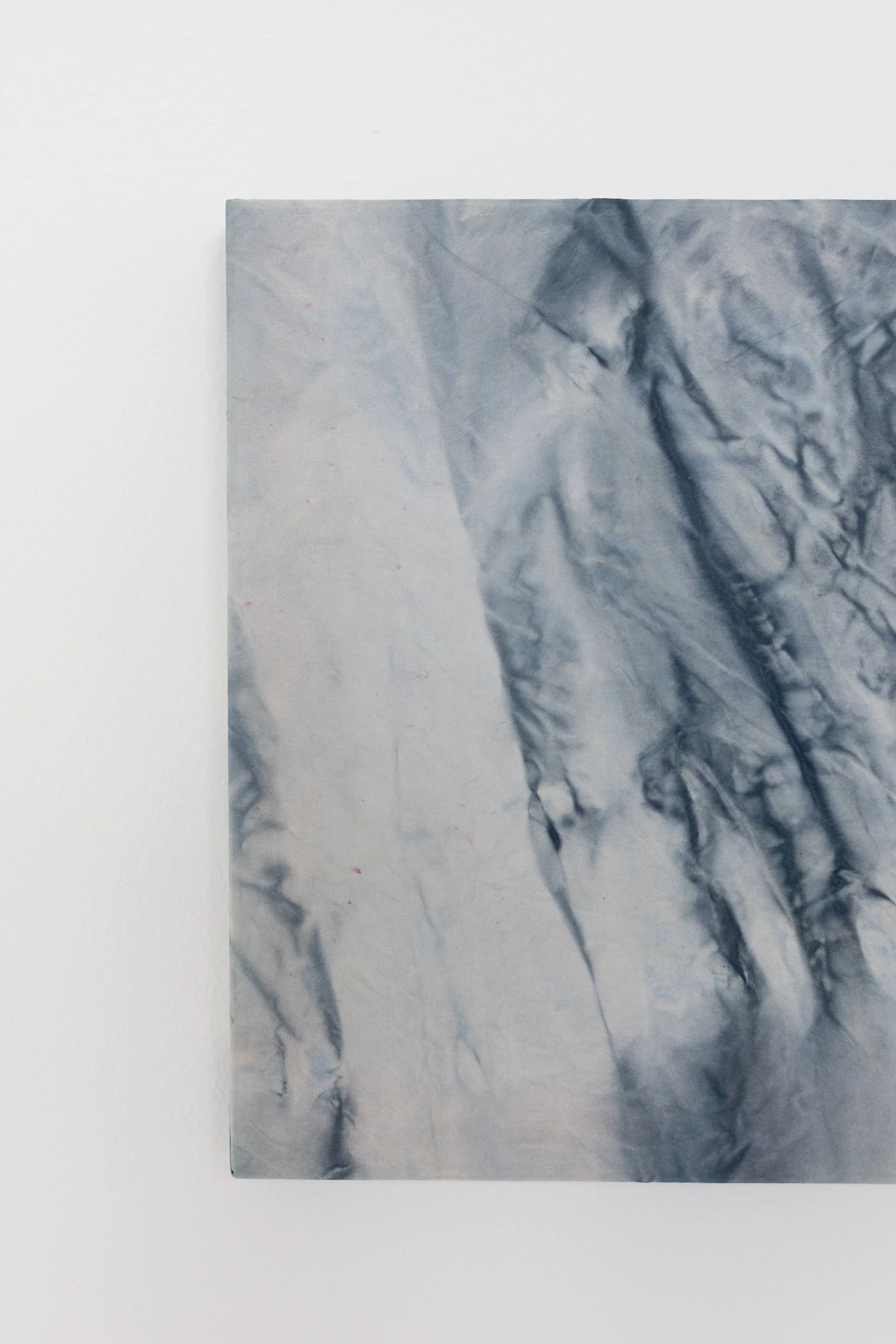 silk2025 (30 of 70).jpg