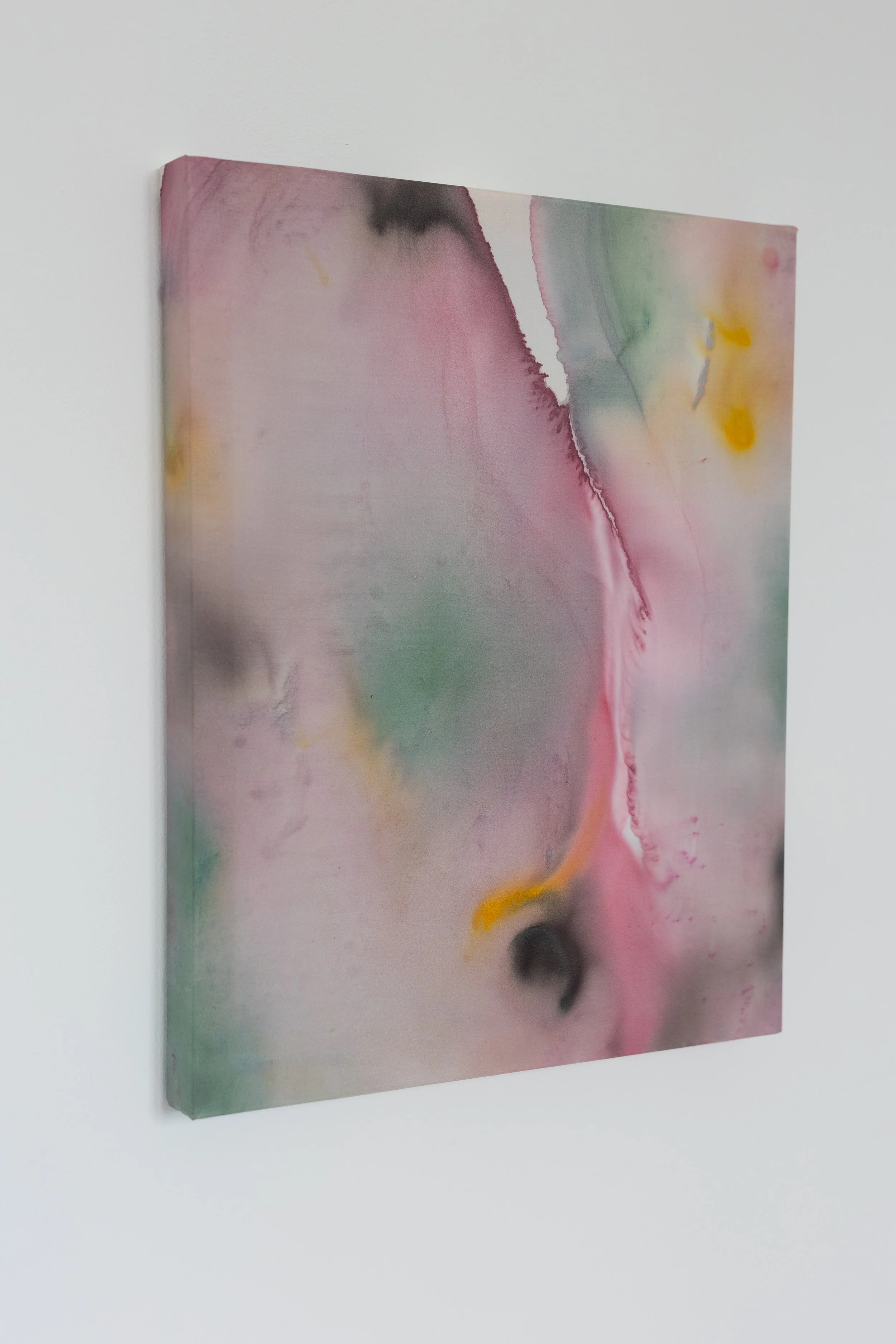 silk2025 (13 of 70).jpg