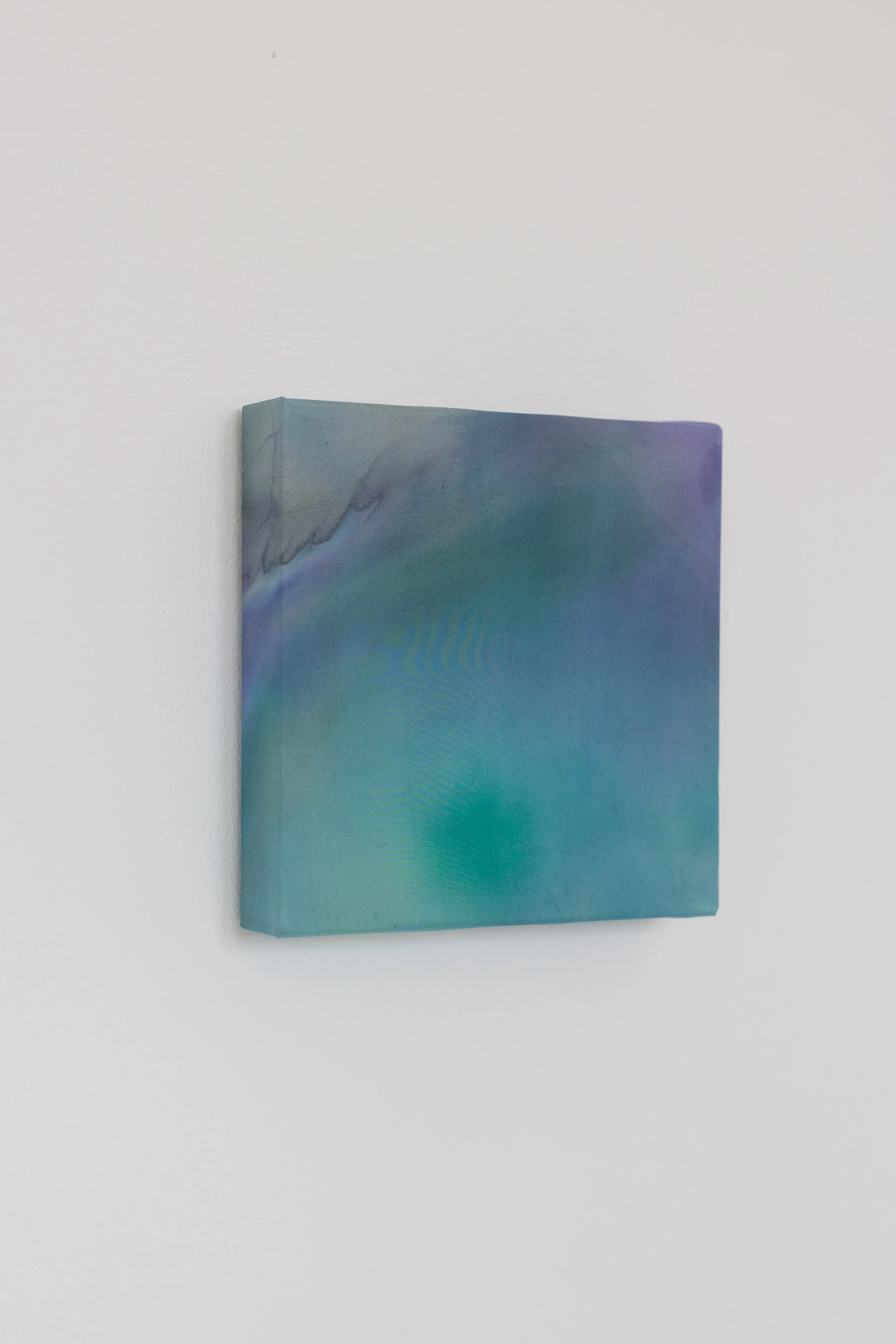 silk2025 (18 of 70).jpg