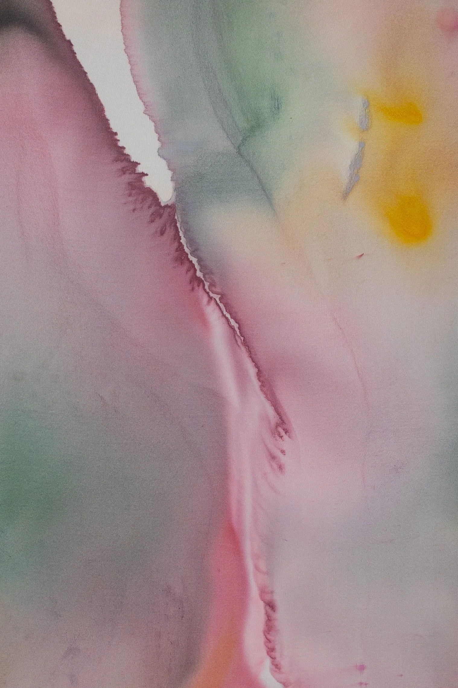 silk2025 (11 of 70).jpg