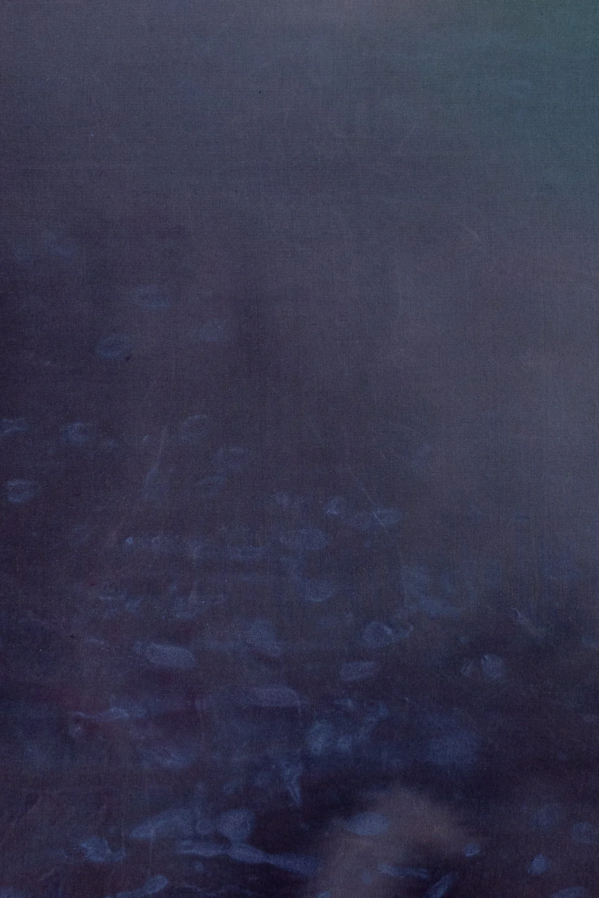 silk2025 (8 of 70).jpg