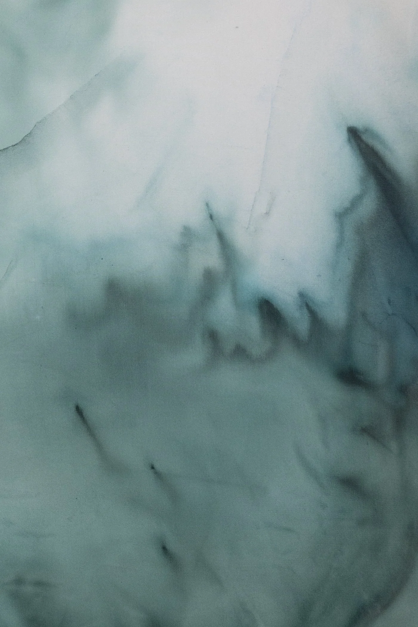 silk2025 (3 of 70).jpg