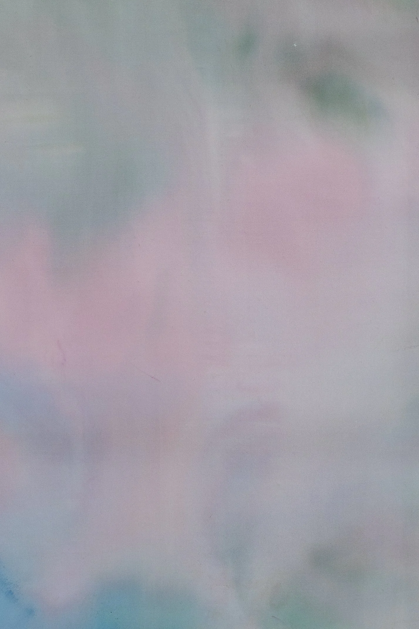 silk2025 (68 of 70).jpg