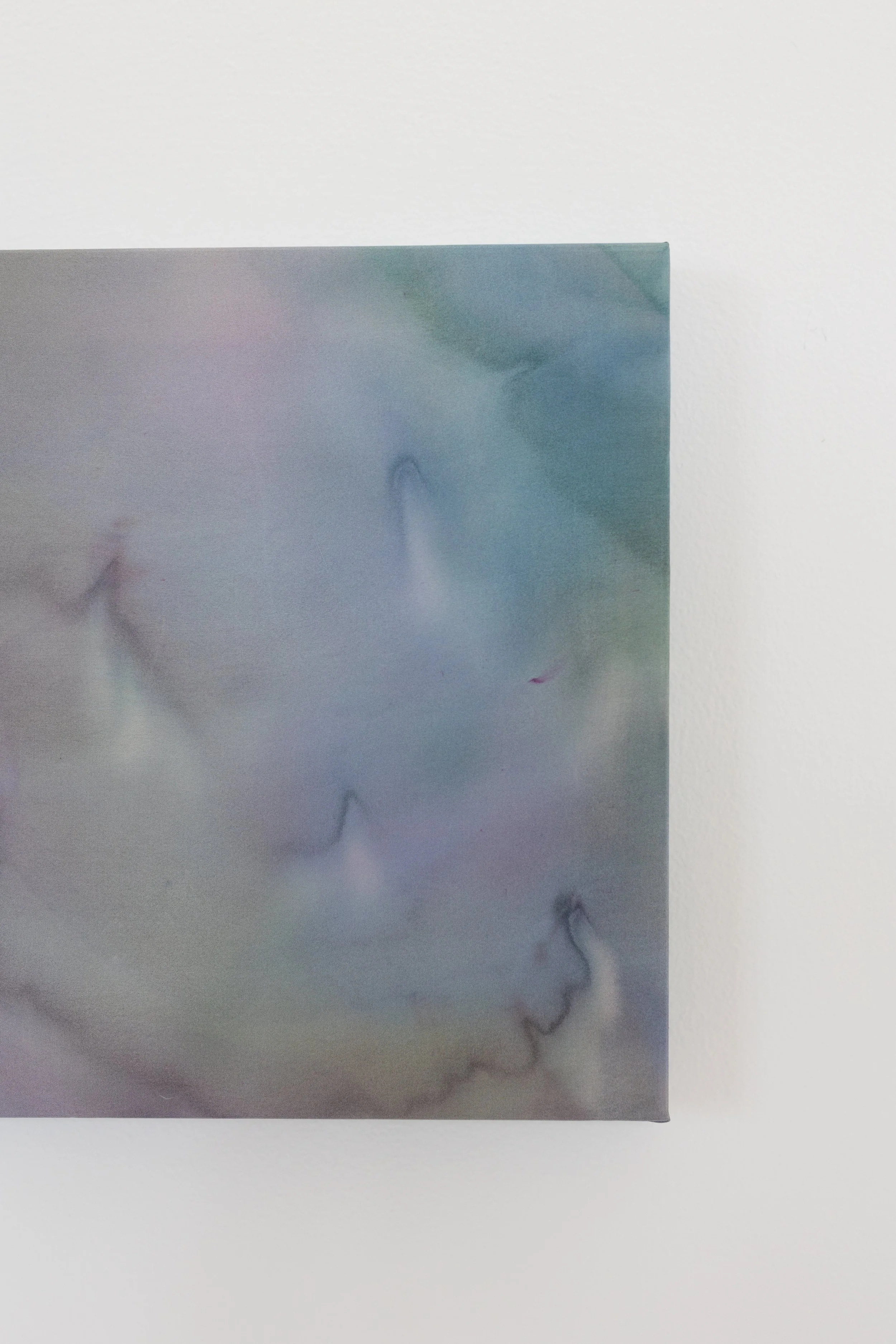 silk2025 (24 of 70).jpg