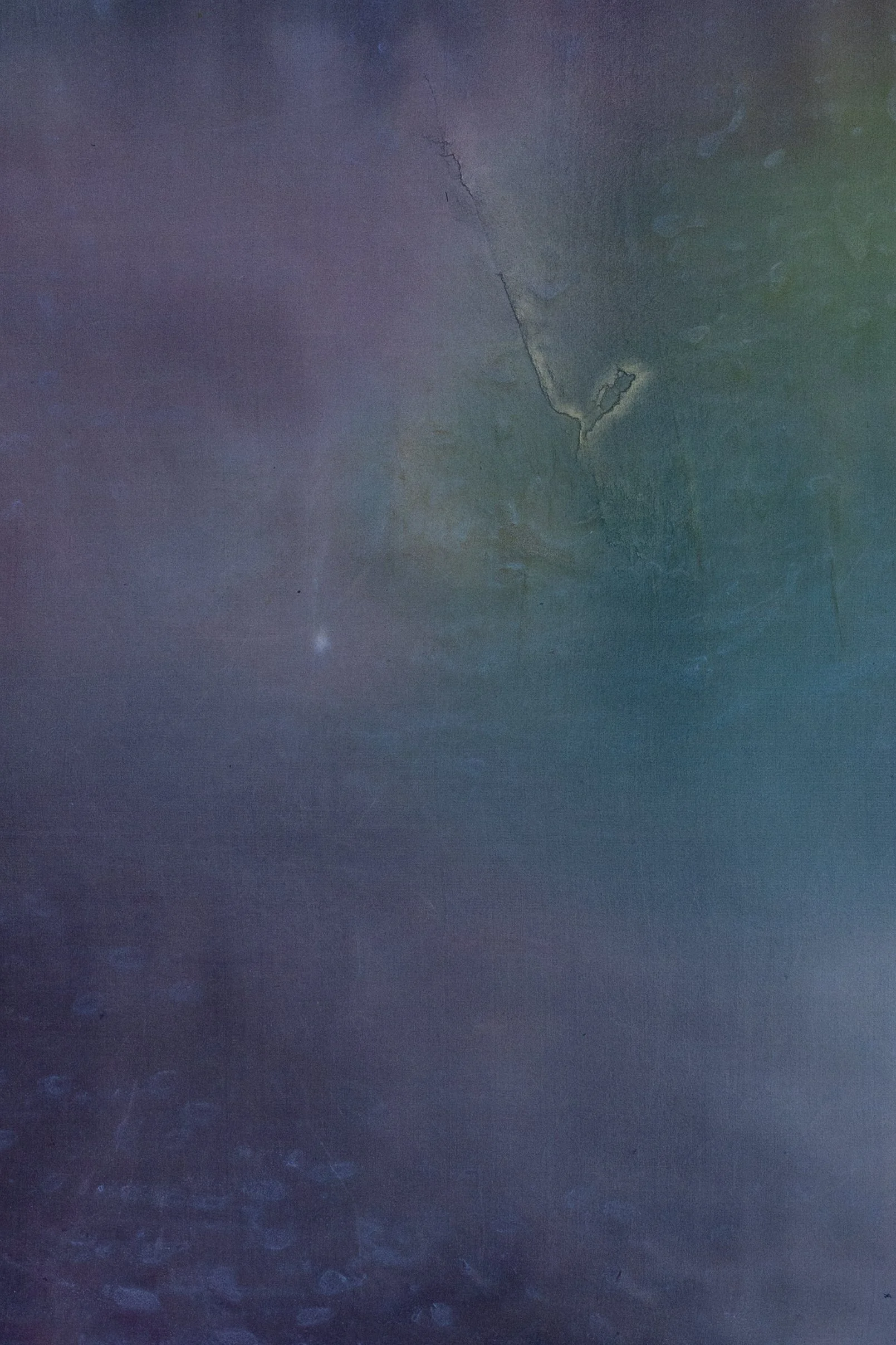 silk2025 (7 of 70).jpg