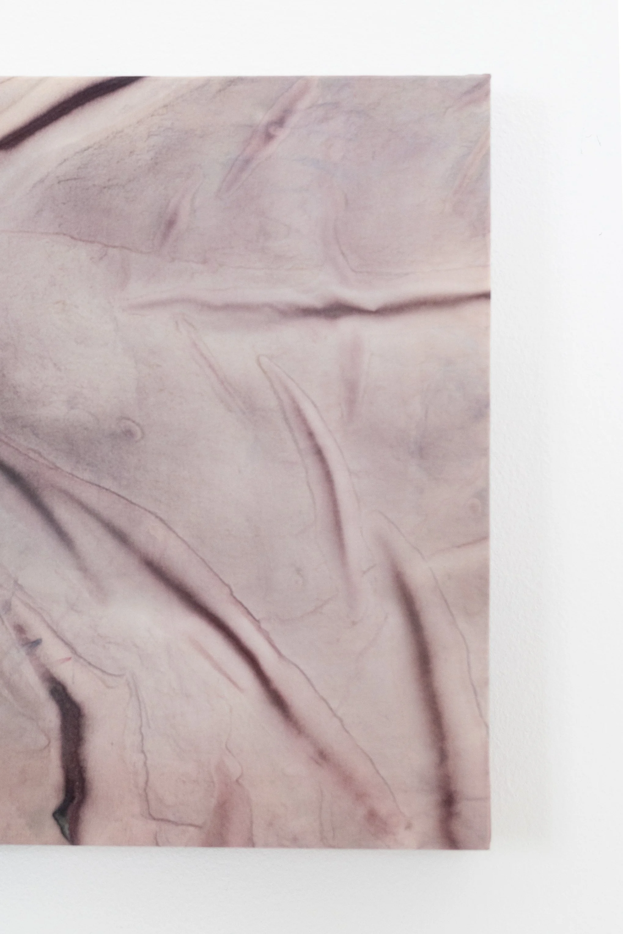 silk2025 (34 of 70).jpg