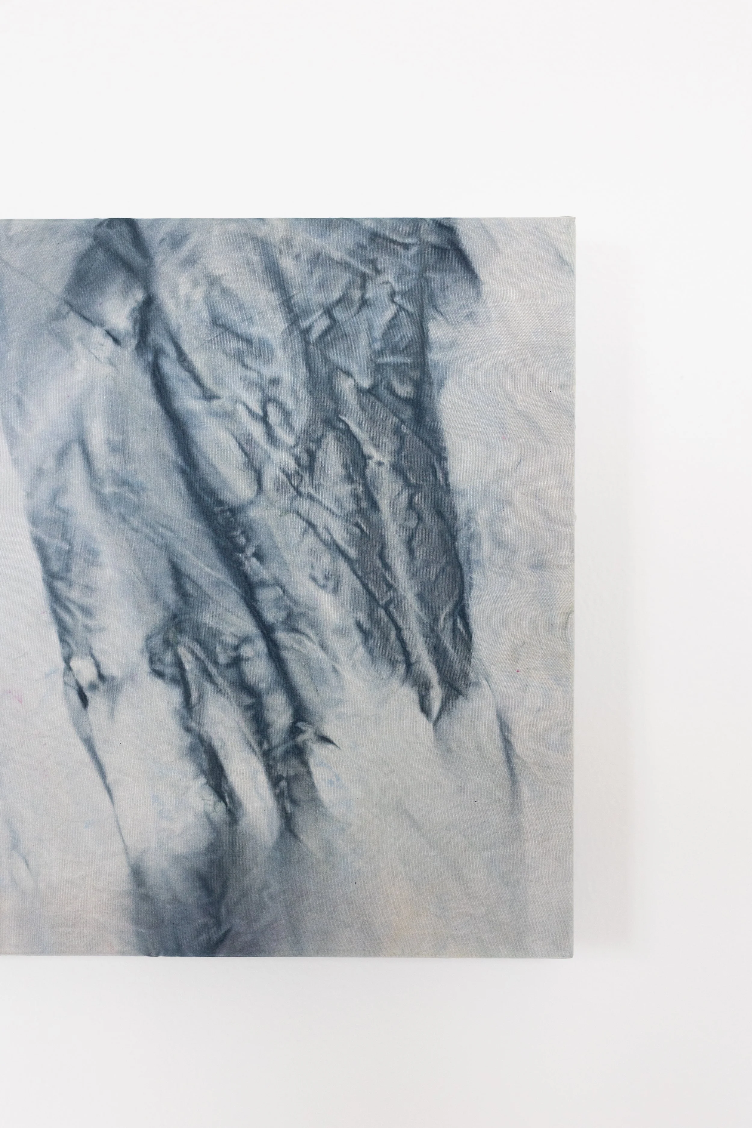 silk2025 (31 of 70).jpg