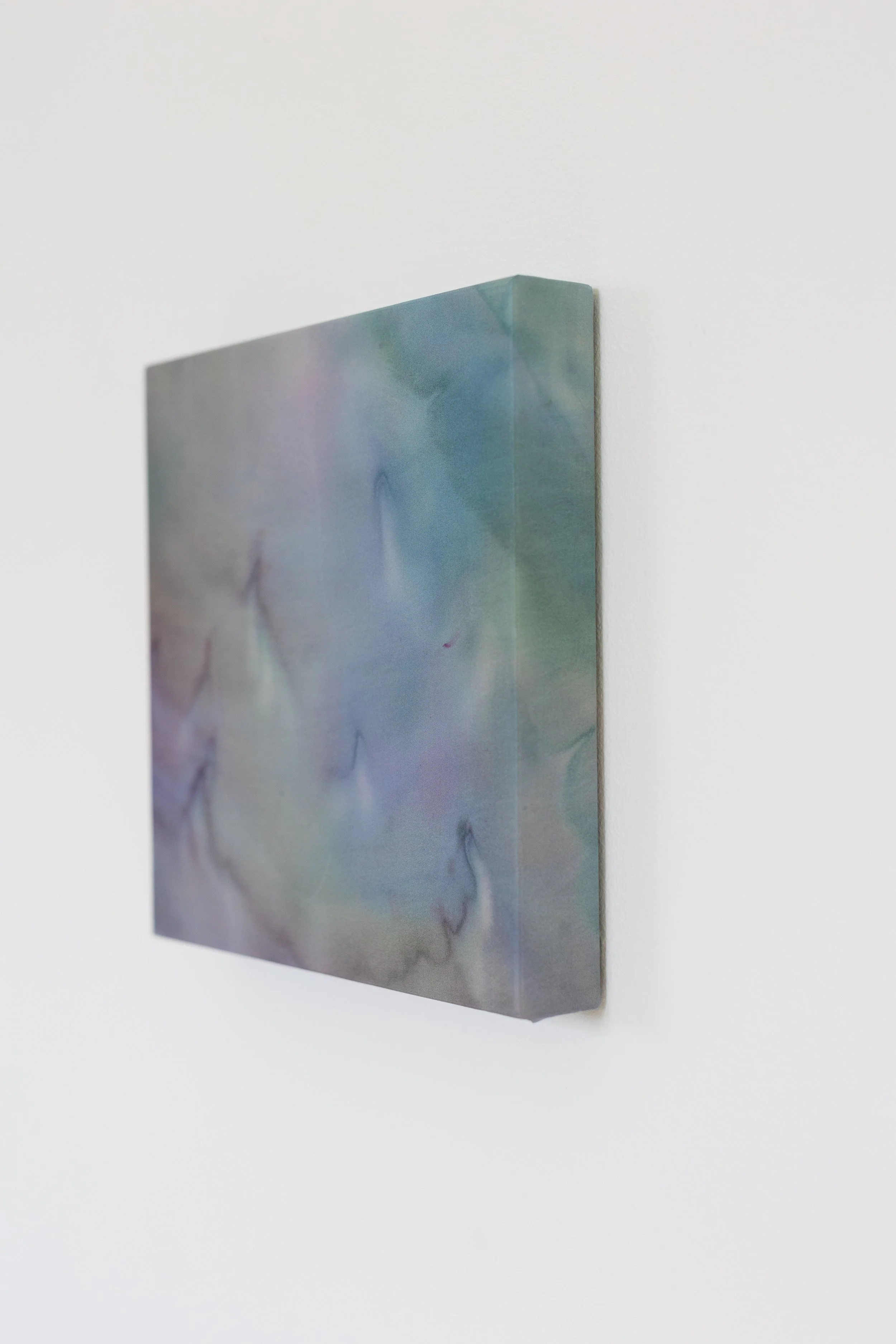 silk2025 (26 of 70).jpg