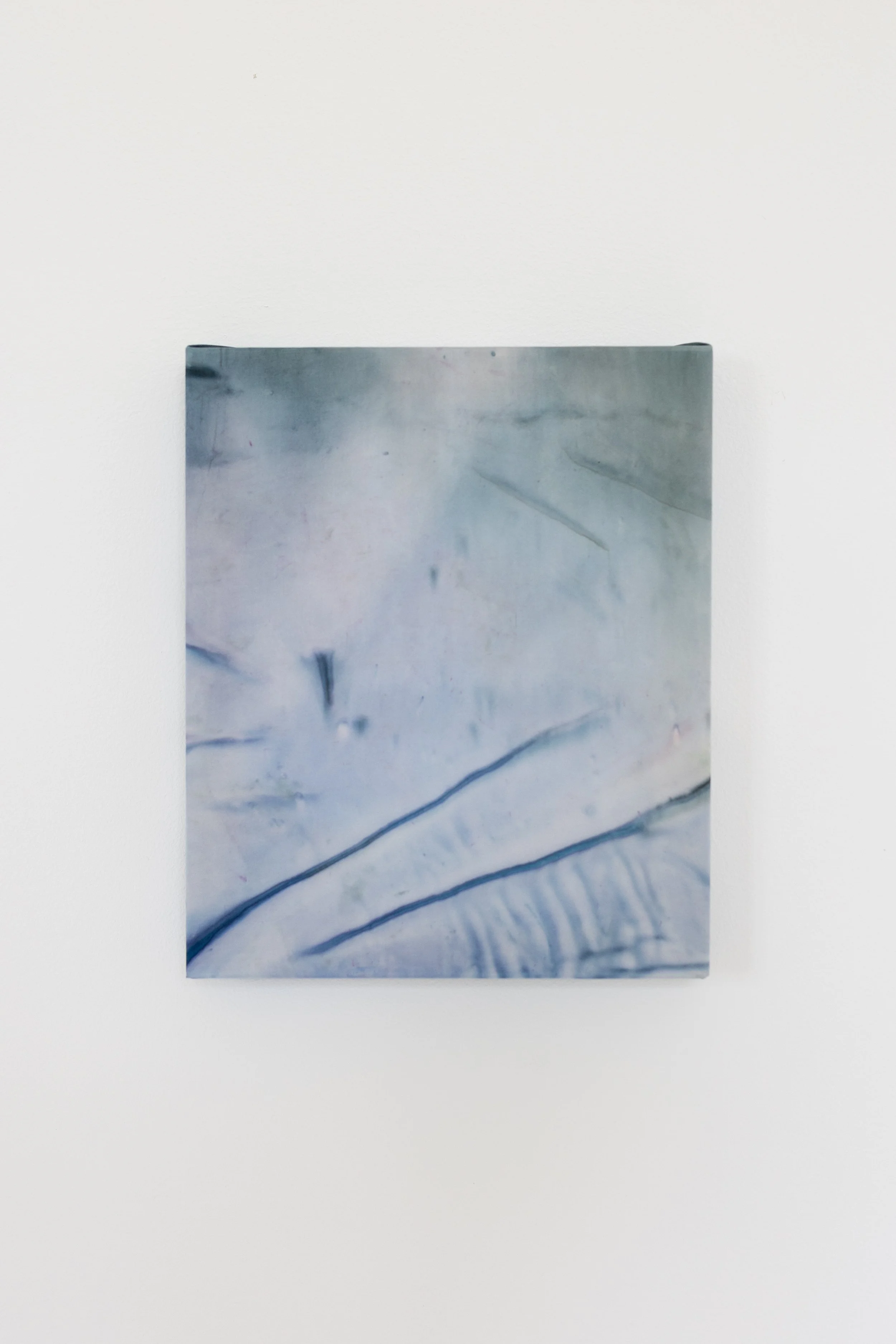 silk2025 (36 of 70).jpg