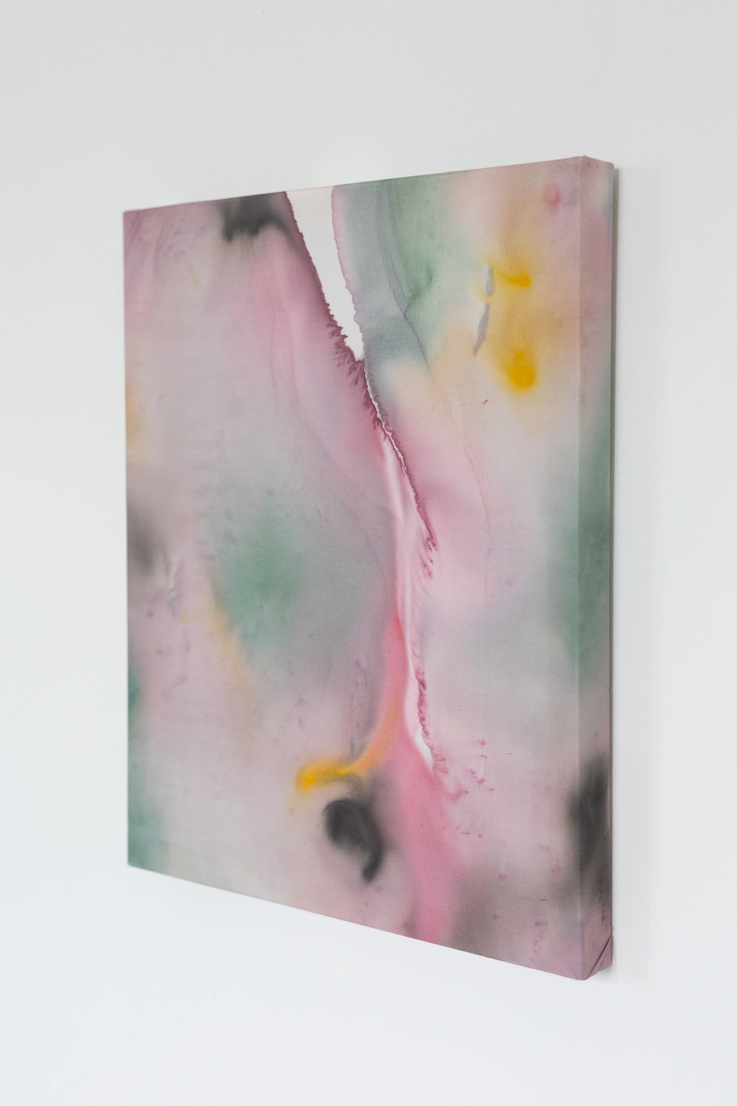 silk2025 (14 of 70).jpg