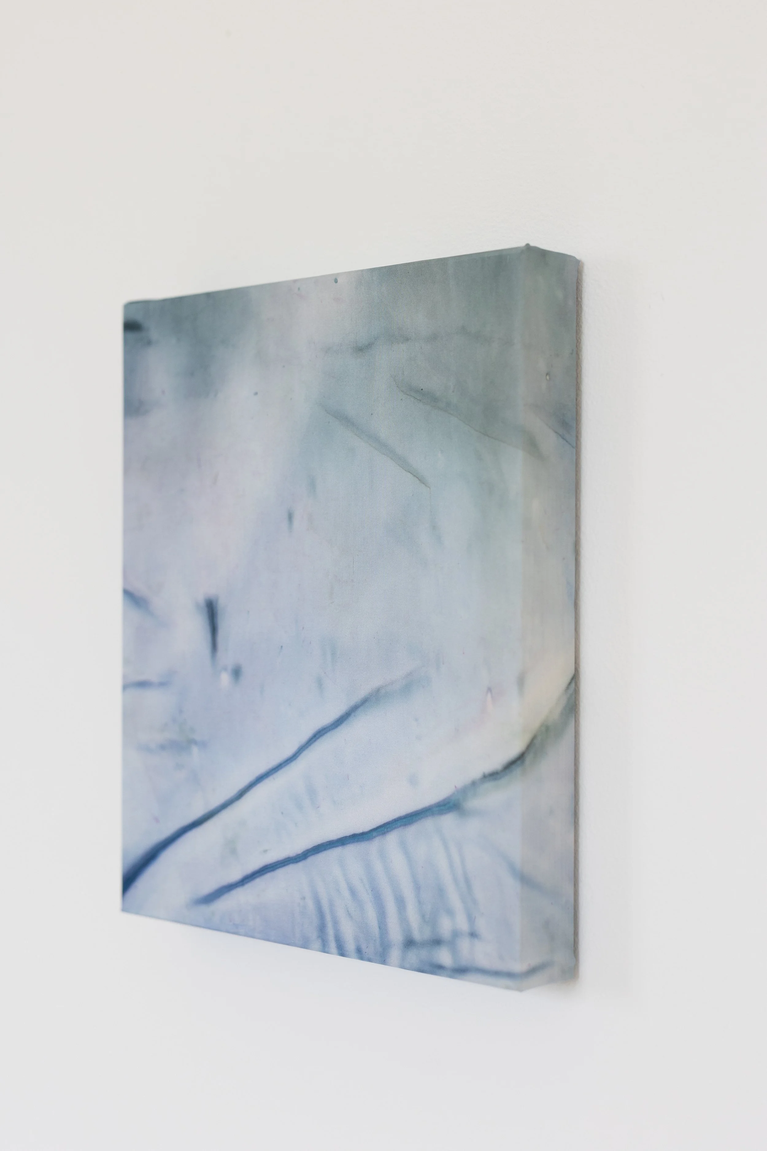 silk2025 (38 of 70).jpg