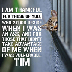 I don't know who Tim is but I'm thankful for flickr when I don't have the right photo myself. 