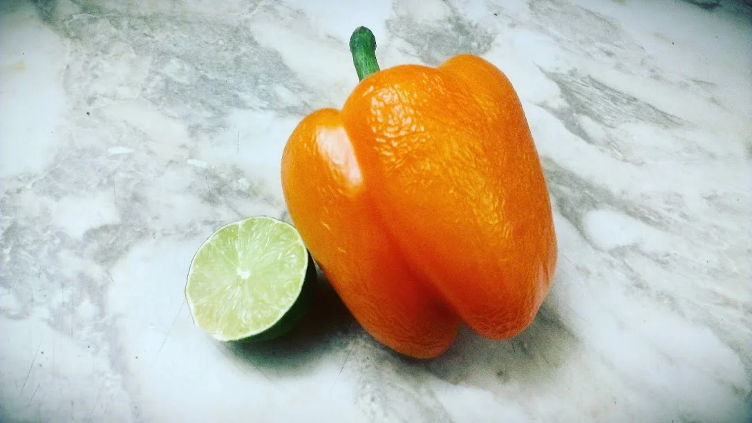Food 8.jpg