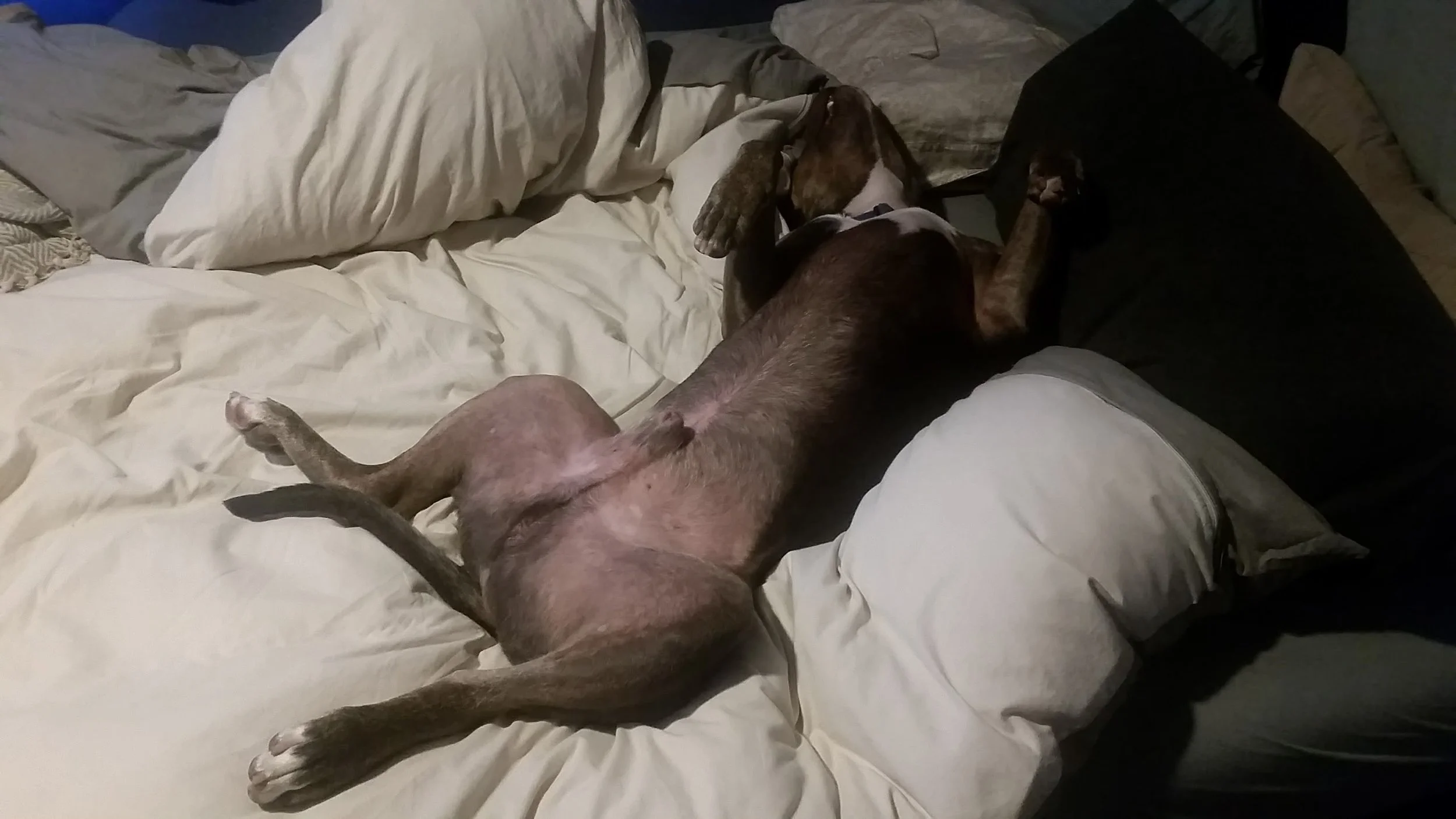 This looks like a comfortable meditation position.