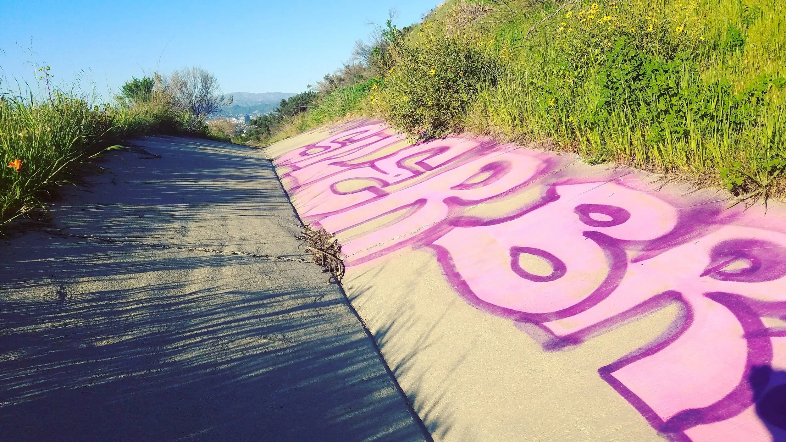 A magical pathway of graffiti and wildlife.