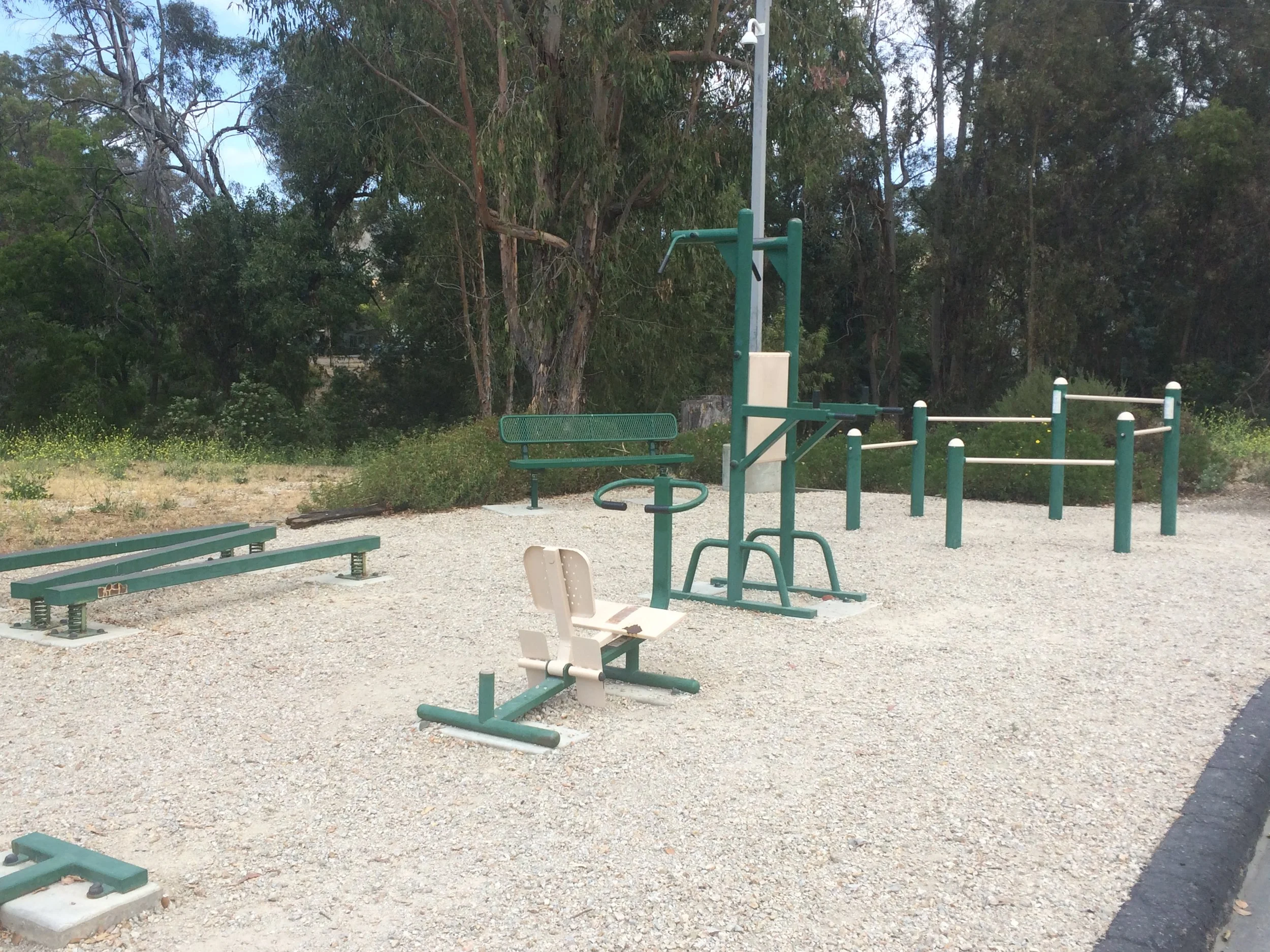 Maybe I could get down with an outdoor gym.