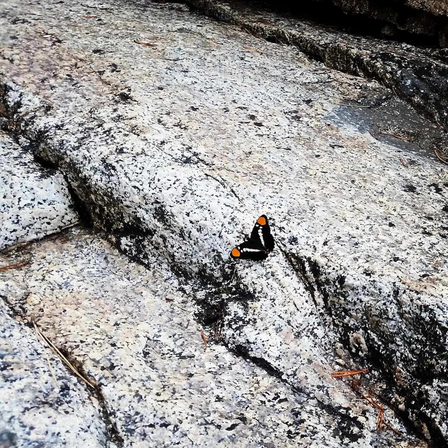 Rock hard boundaries