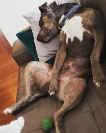 Here’s the King of doing nothing!